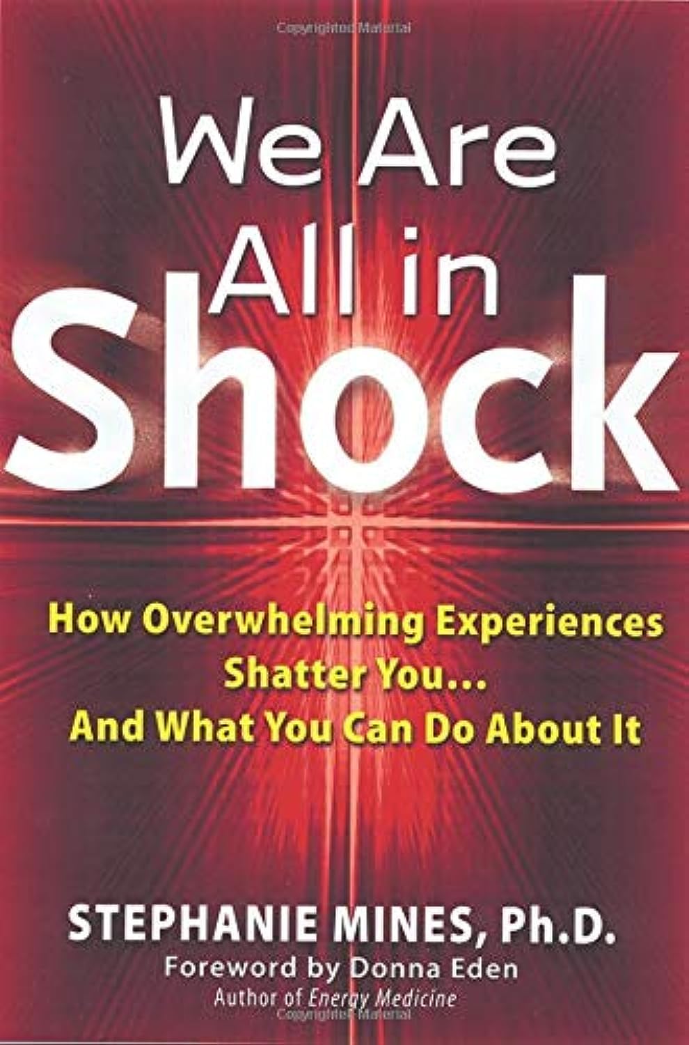 We Are All in Shock: How Overwhelming Experiences Shatter You and What You Can Do about It book
