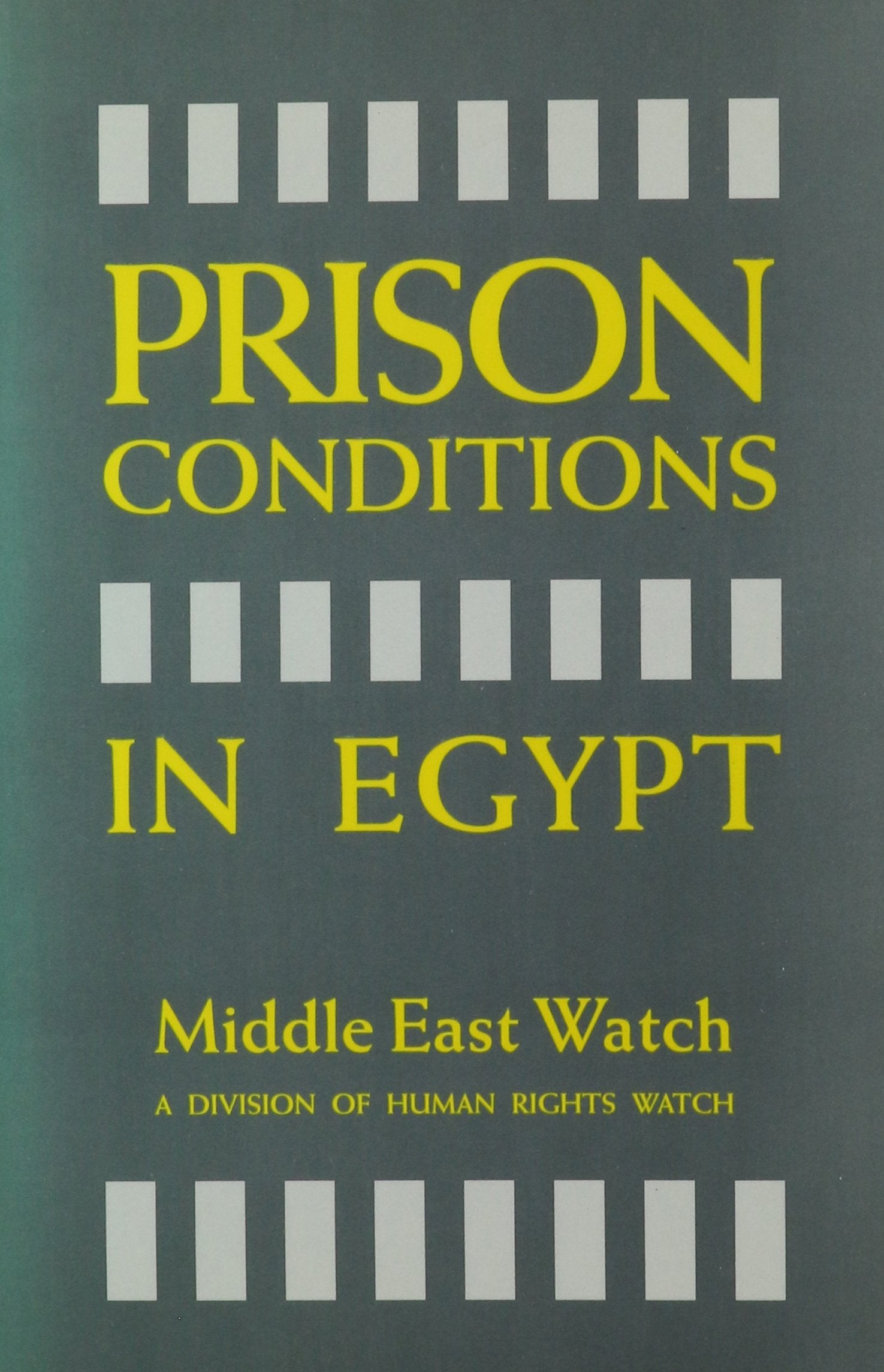 Prison Conditions in Egypt: A Filthy System : February 1993 : A Middle East Watch and Prison Project Report book