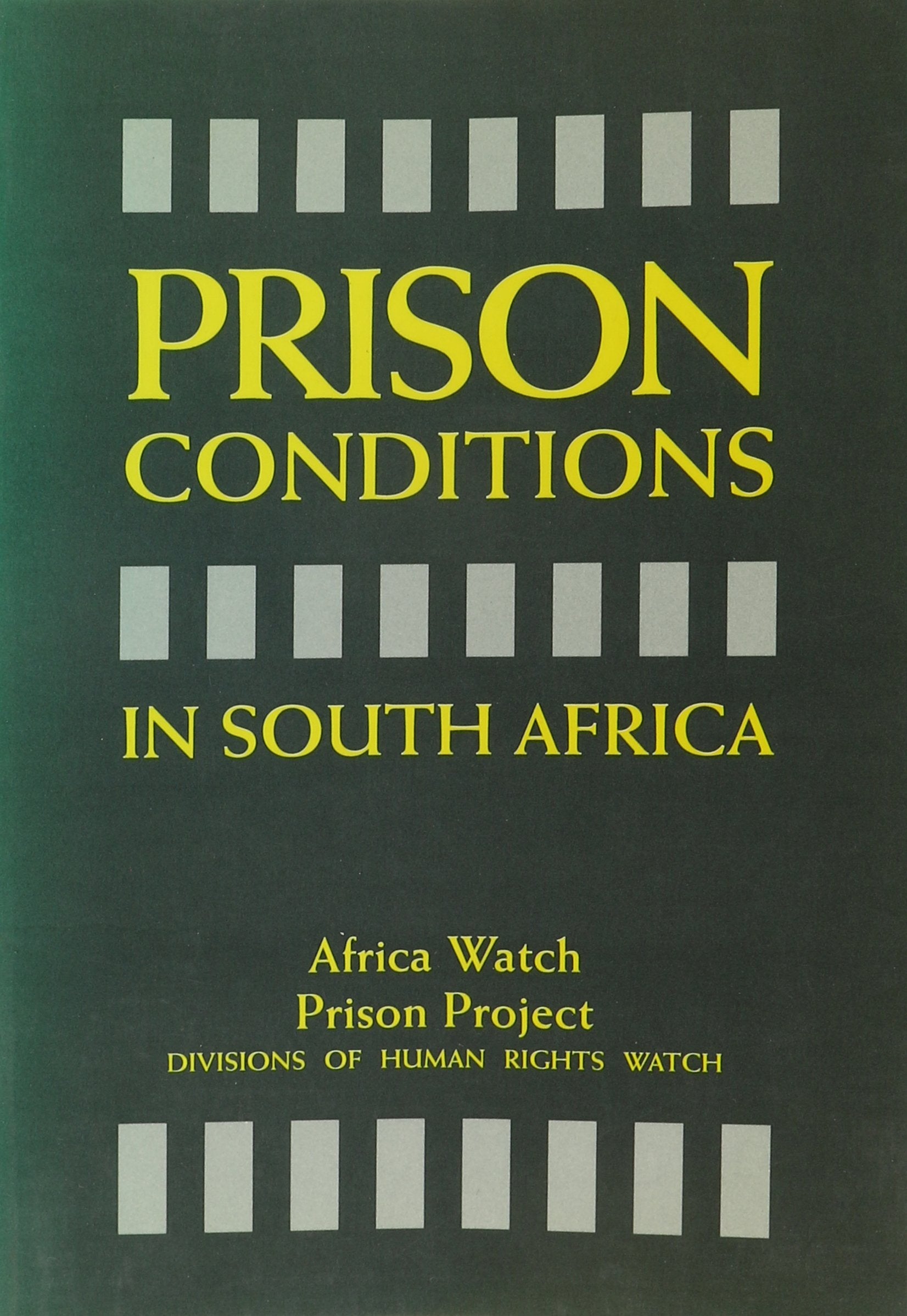 Prison Conditions in South Africa Politics & History