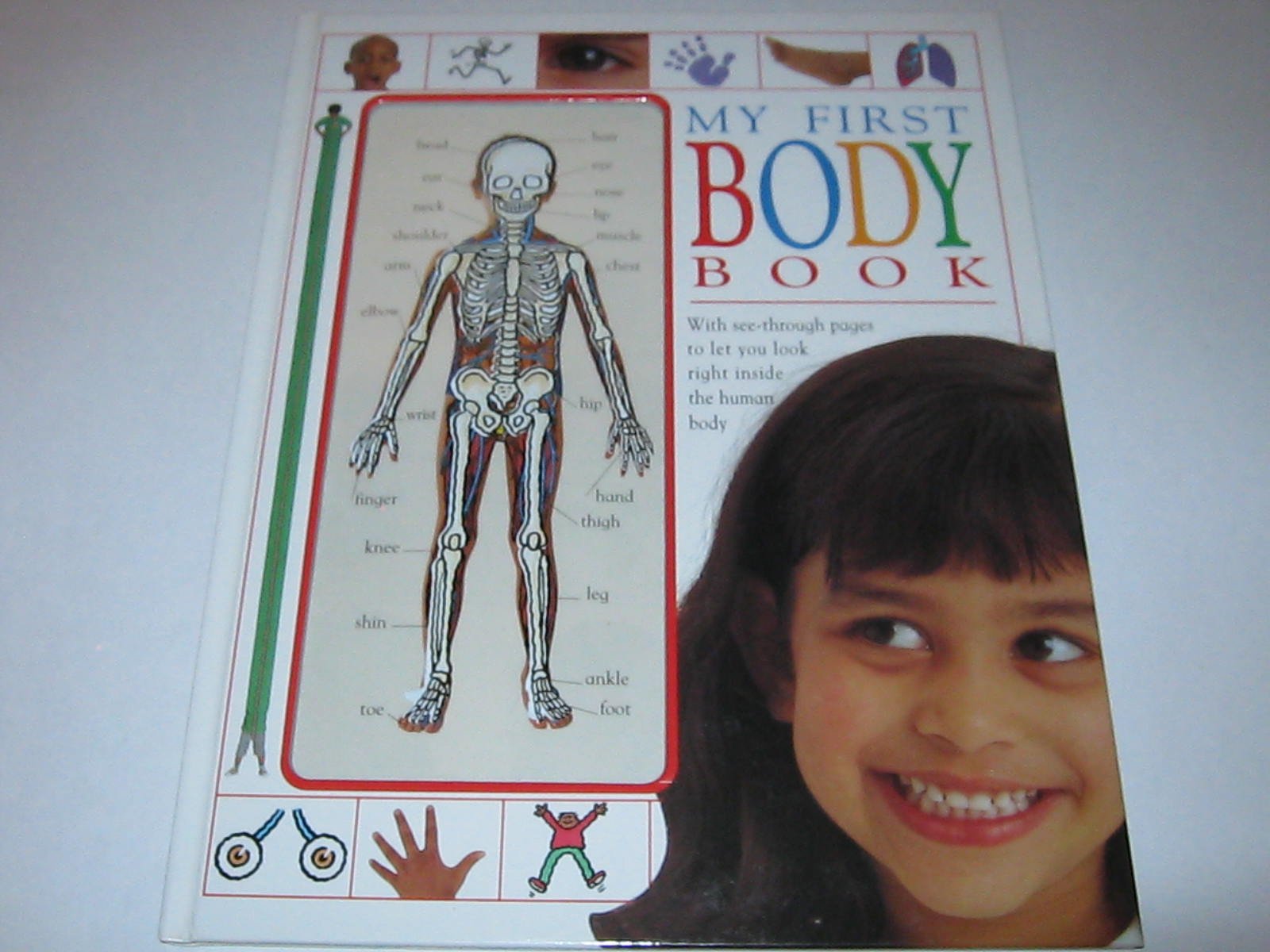My First Body Book (Dk My First Books) Non-fiction