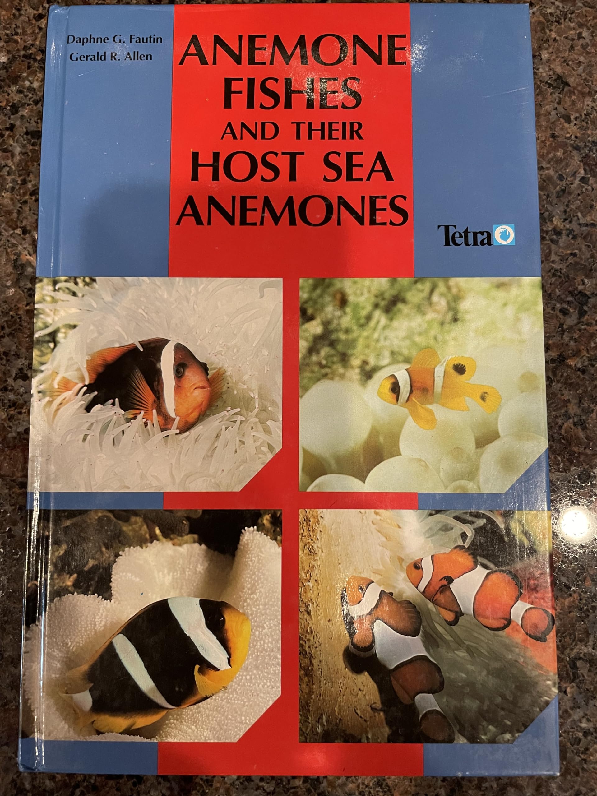 Anemone Fishes and Their Host Sea Anemones Pets