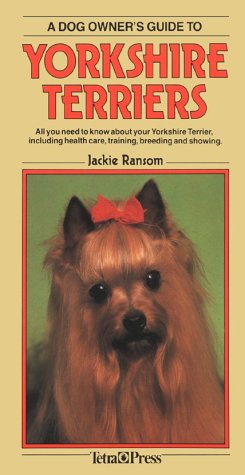 A Dog Owners Guide to Yorkshire Terriers Pets