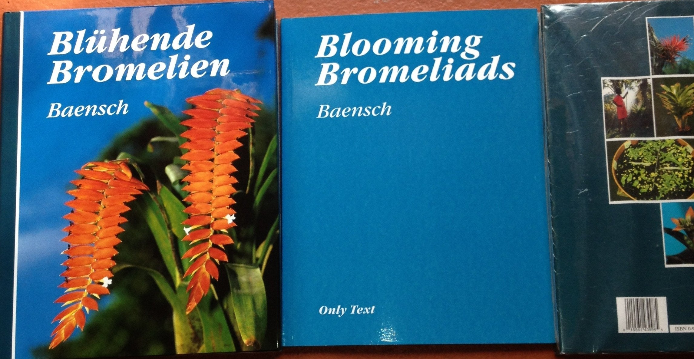 Blühende Bromelien Travel Books
