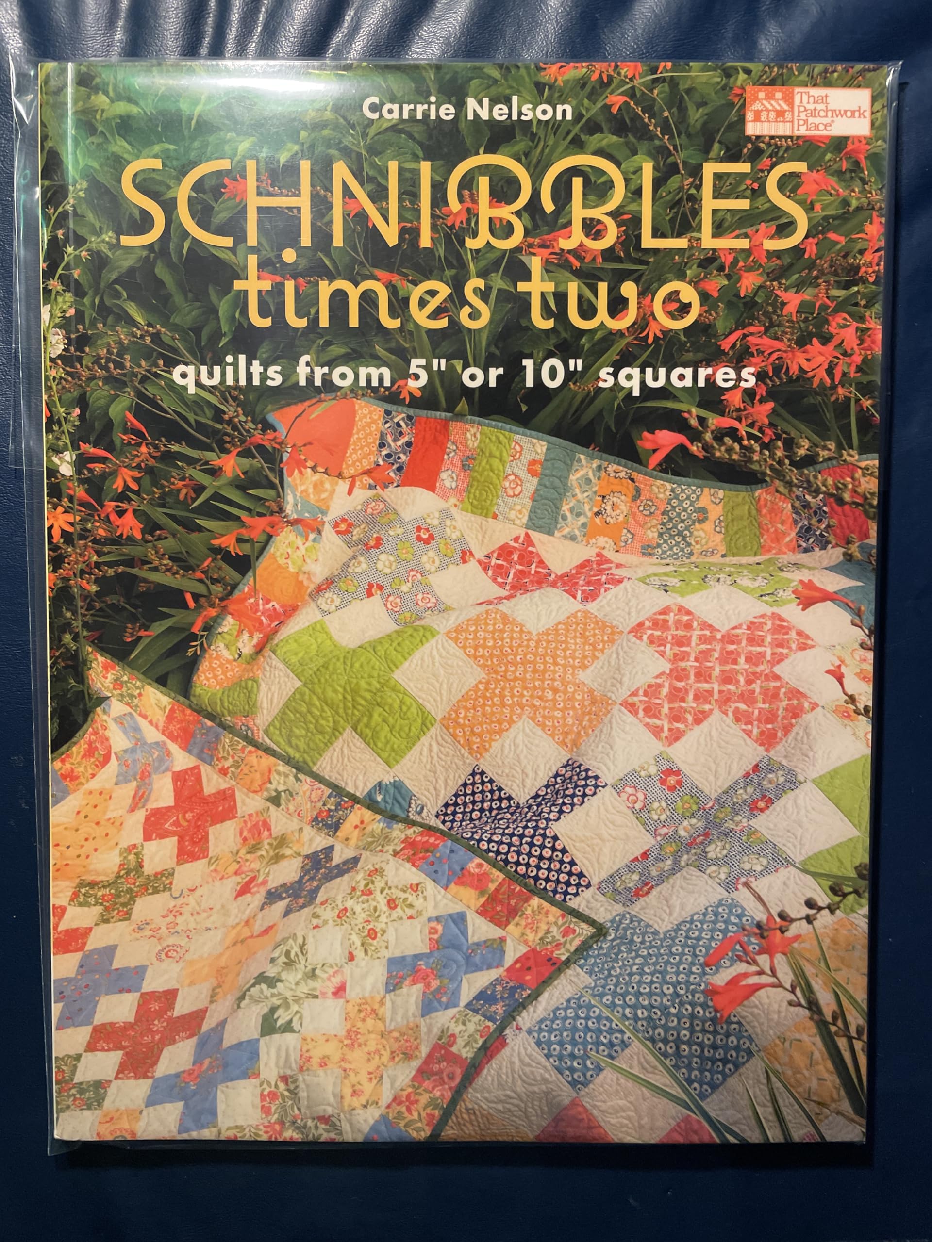 Schnibbles Times Two: Quilts from 5" or 10" Squares Hobbies & Crafts
