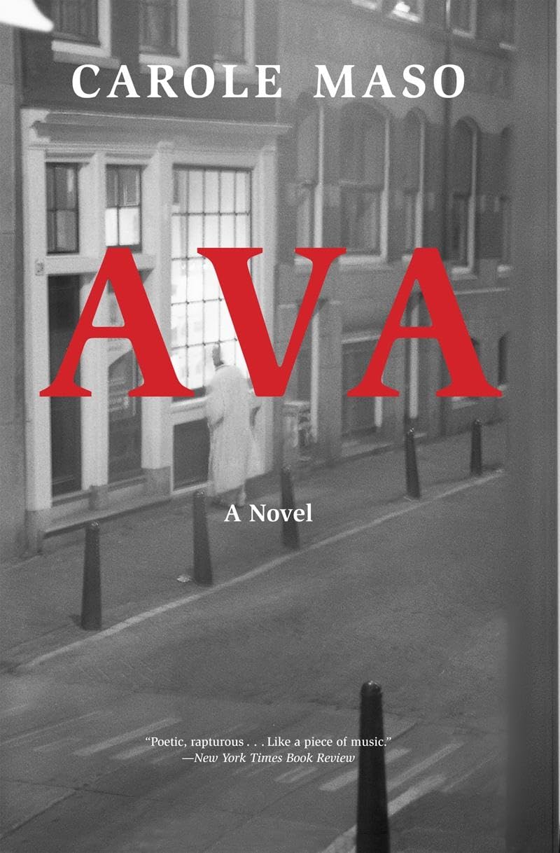 Ava: A Novel (American Literature Series) Contemporary literature