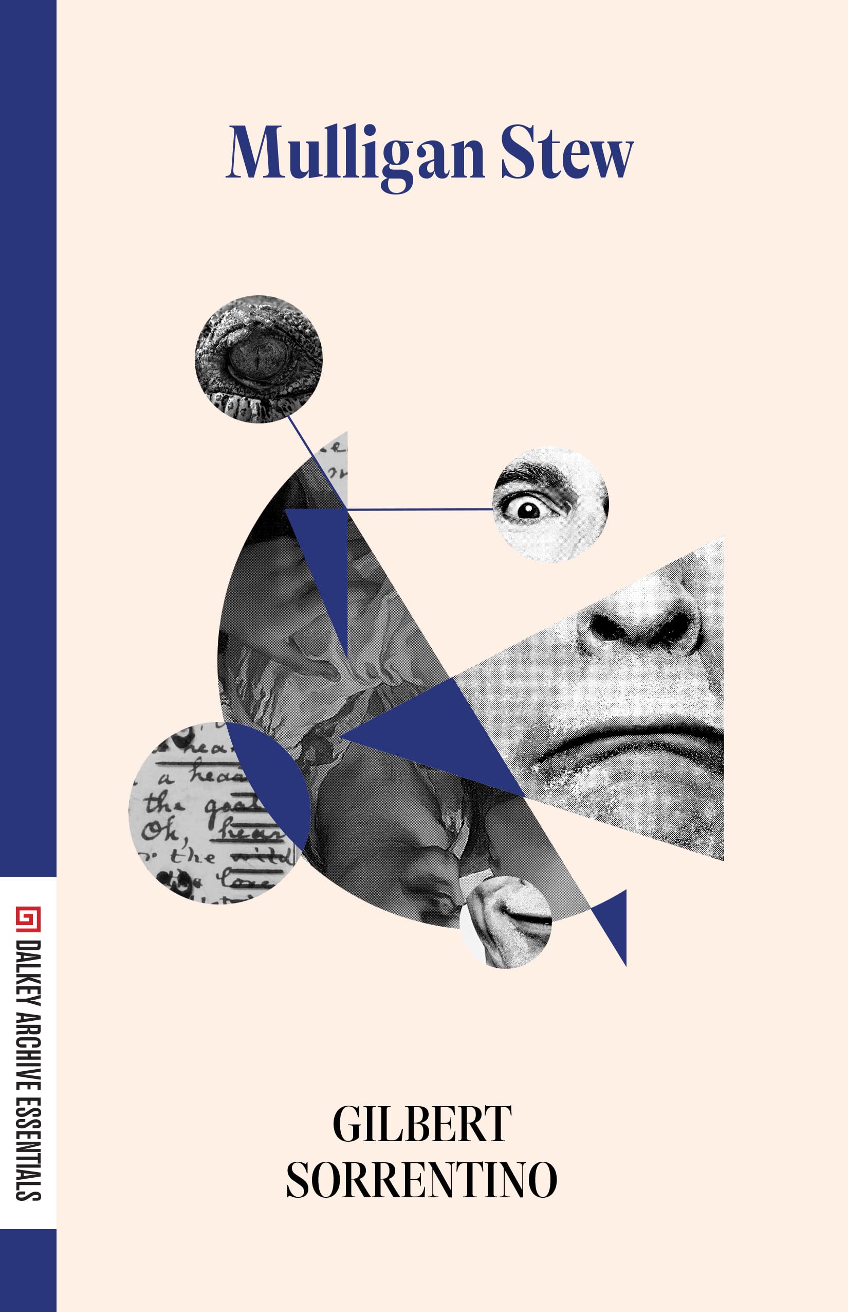 Mulligan Stew (American Literature) Contemporary literature
