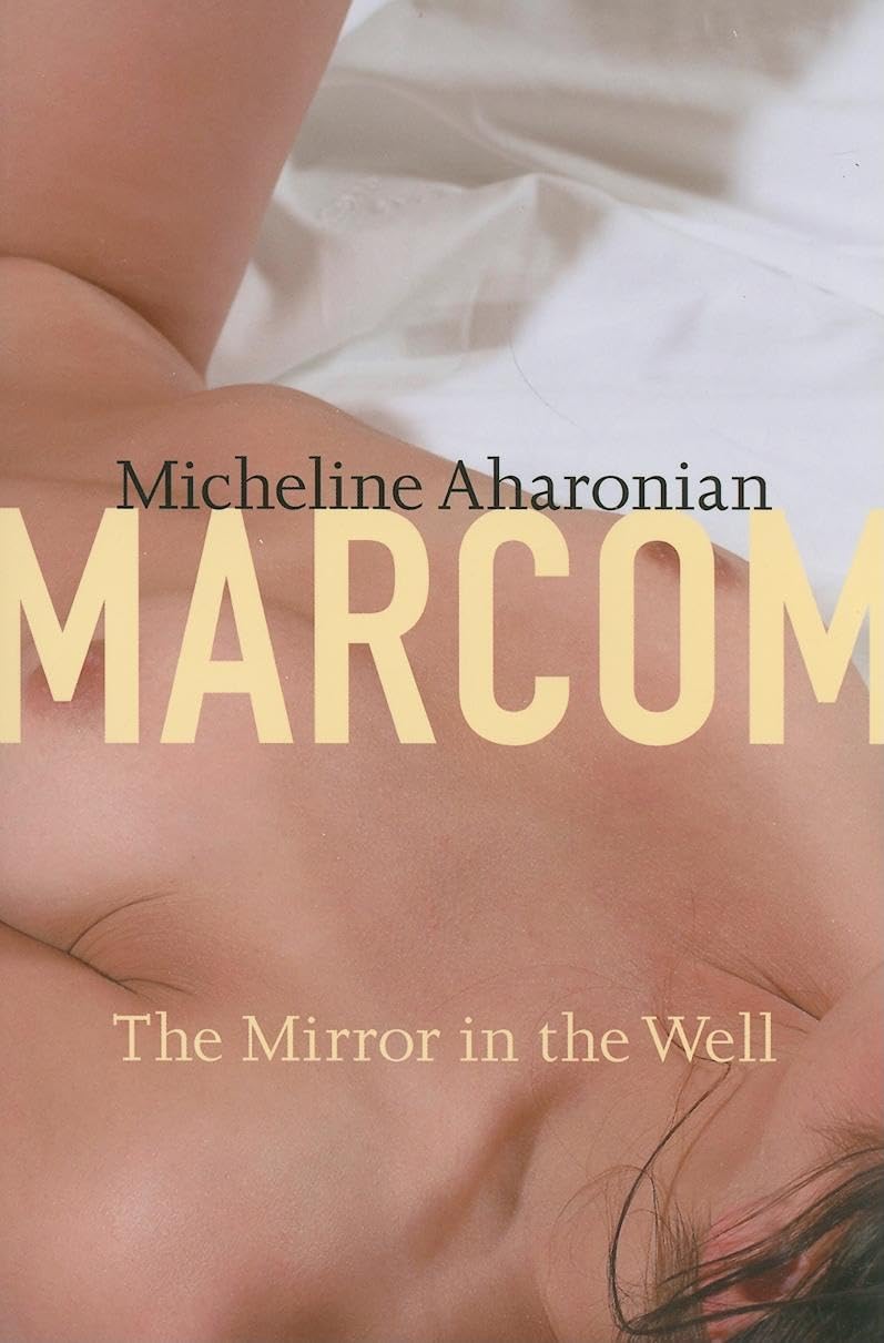 Mirror in the Well (American Literature) Contemporary literature