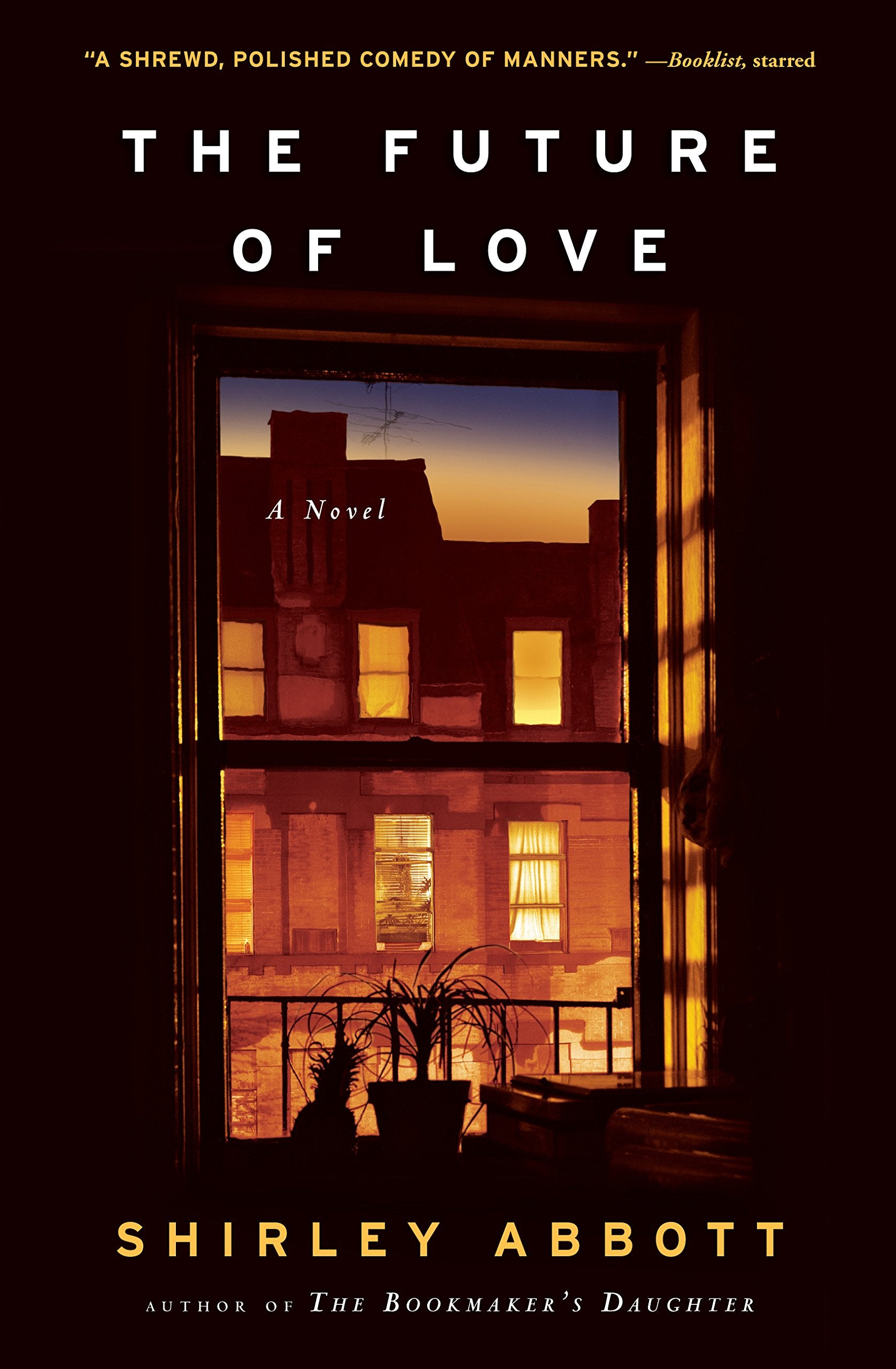 The Future of Love: A Novel book