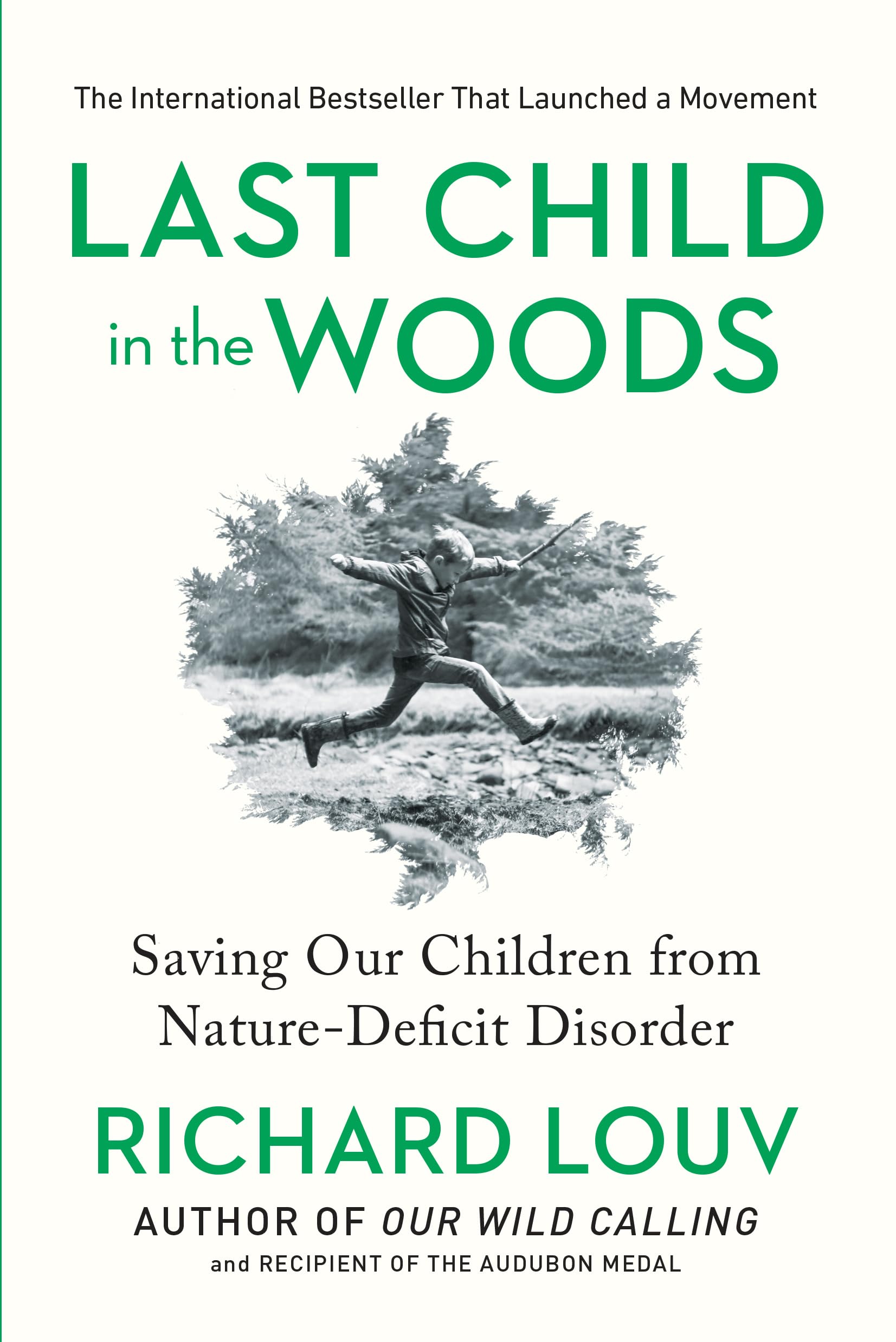 Last Child in the Woods Mathematics
