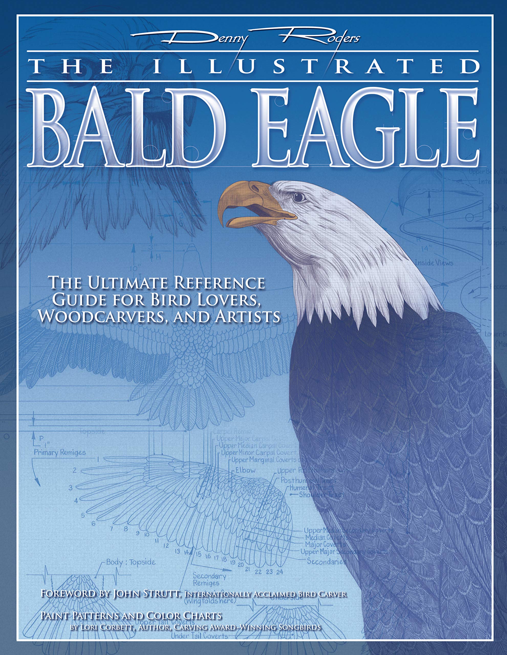 Product Image: The Illustrated Bald Eagle