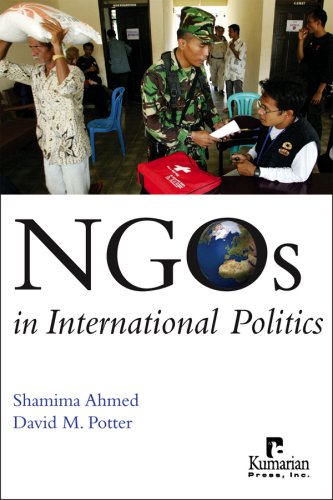 NGOs in International Politics book