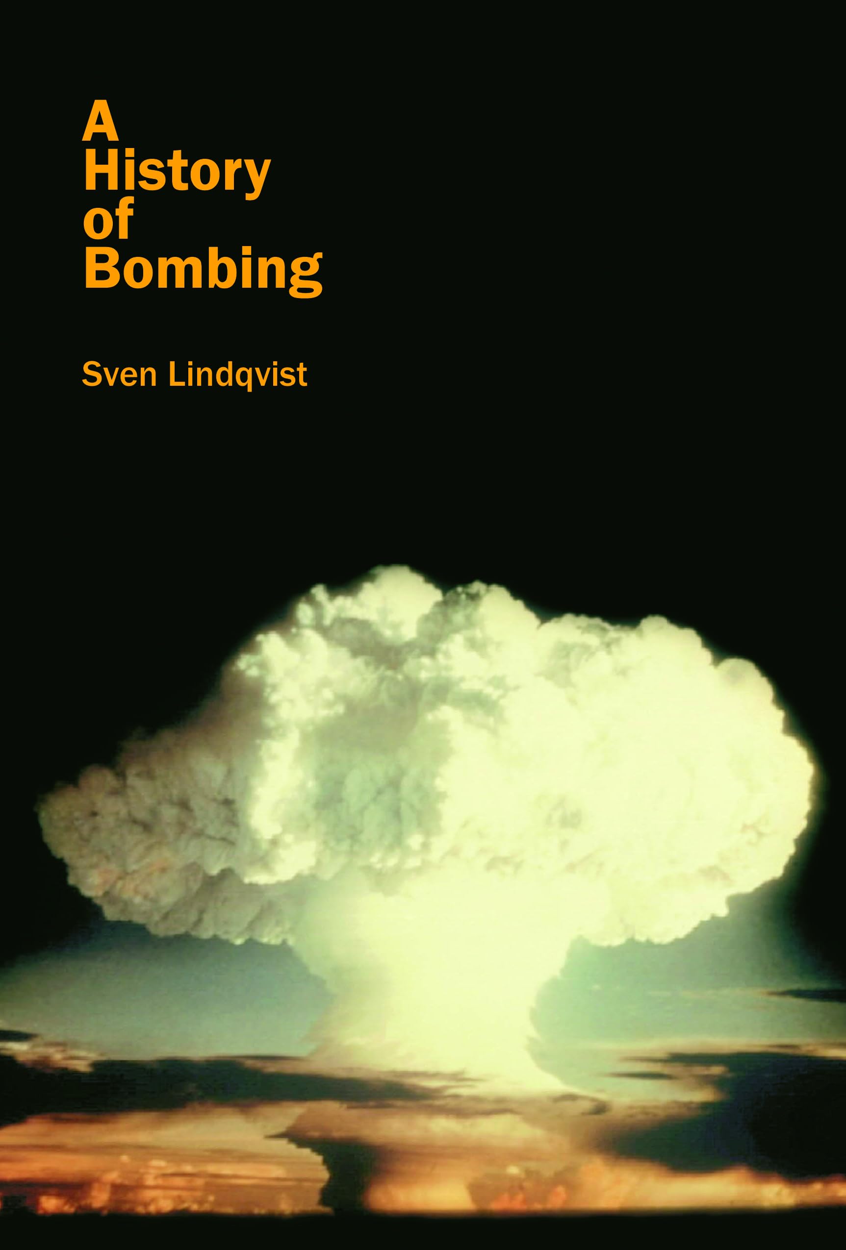 A History of Bombing book