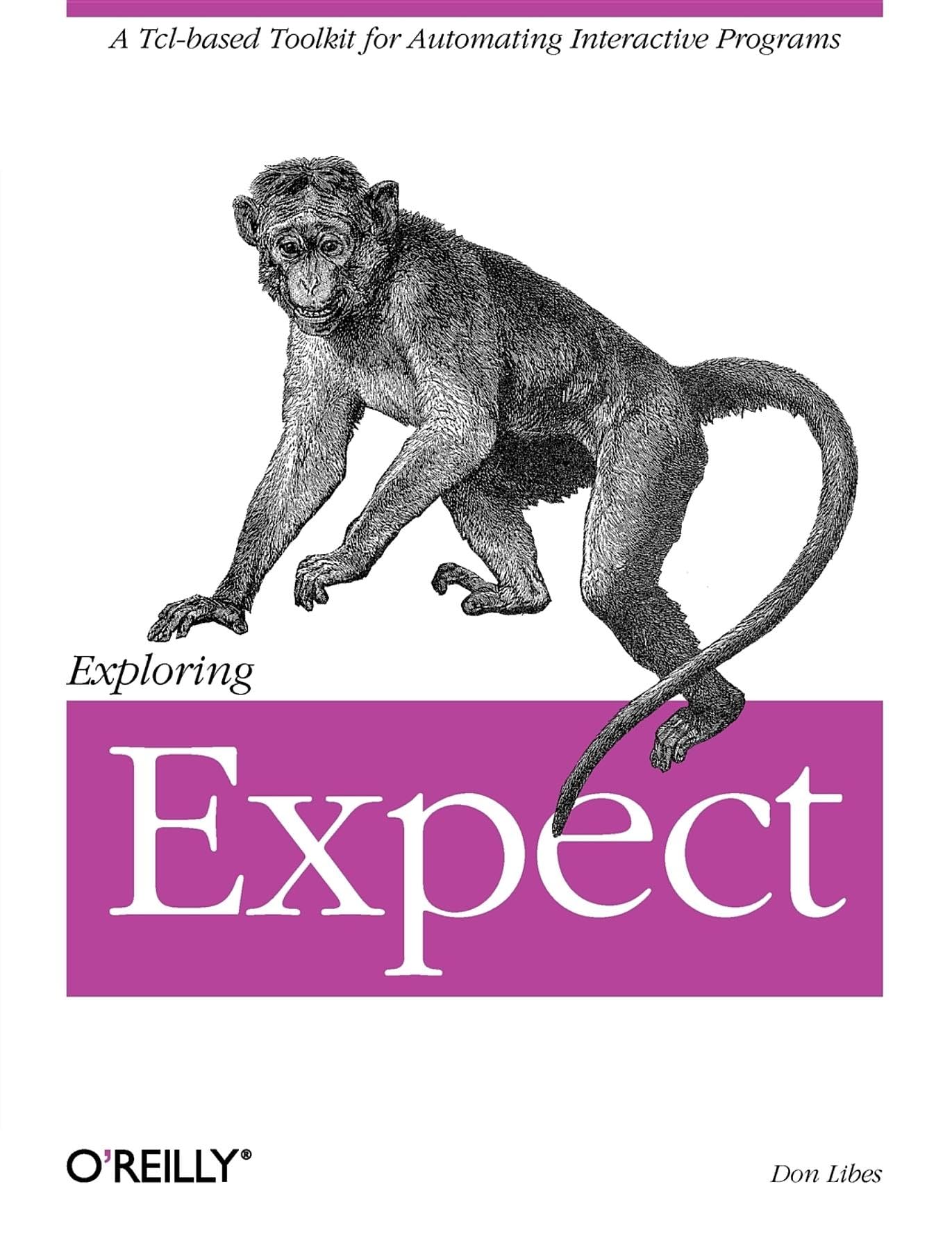 Exploring Expect Computer Science