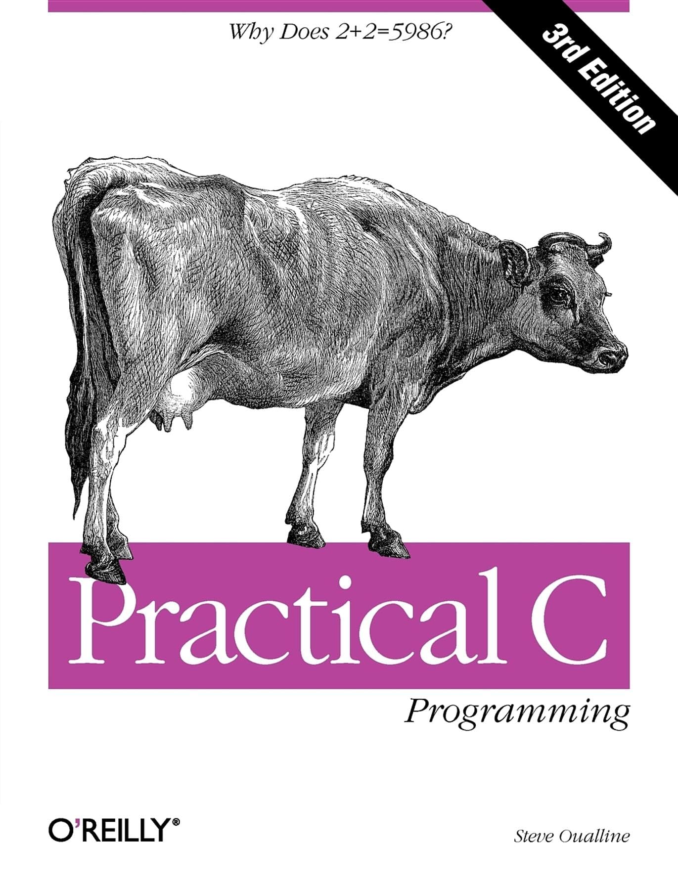 Practical C Programming: Why Does 2+2 = 5986? (Nutshell Handbook) Computer Science