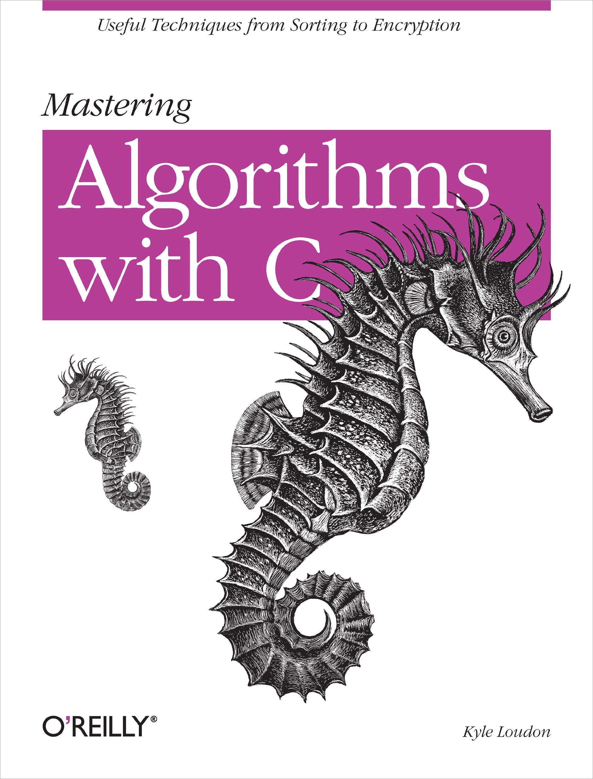 Mastering Algorithms with C Computer Science