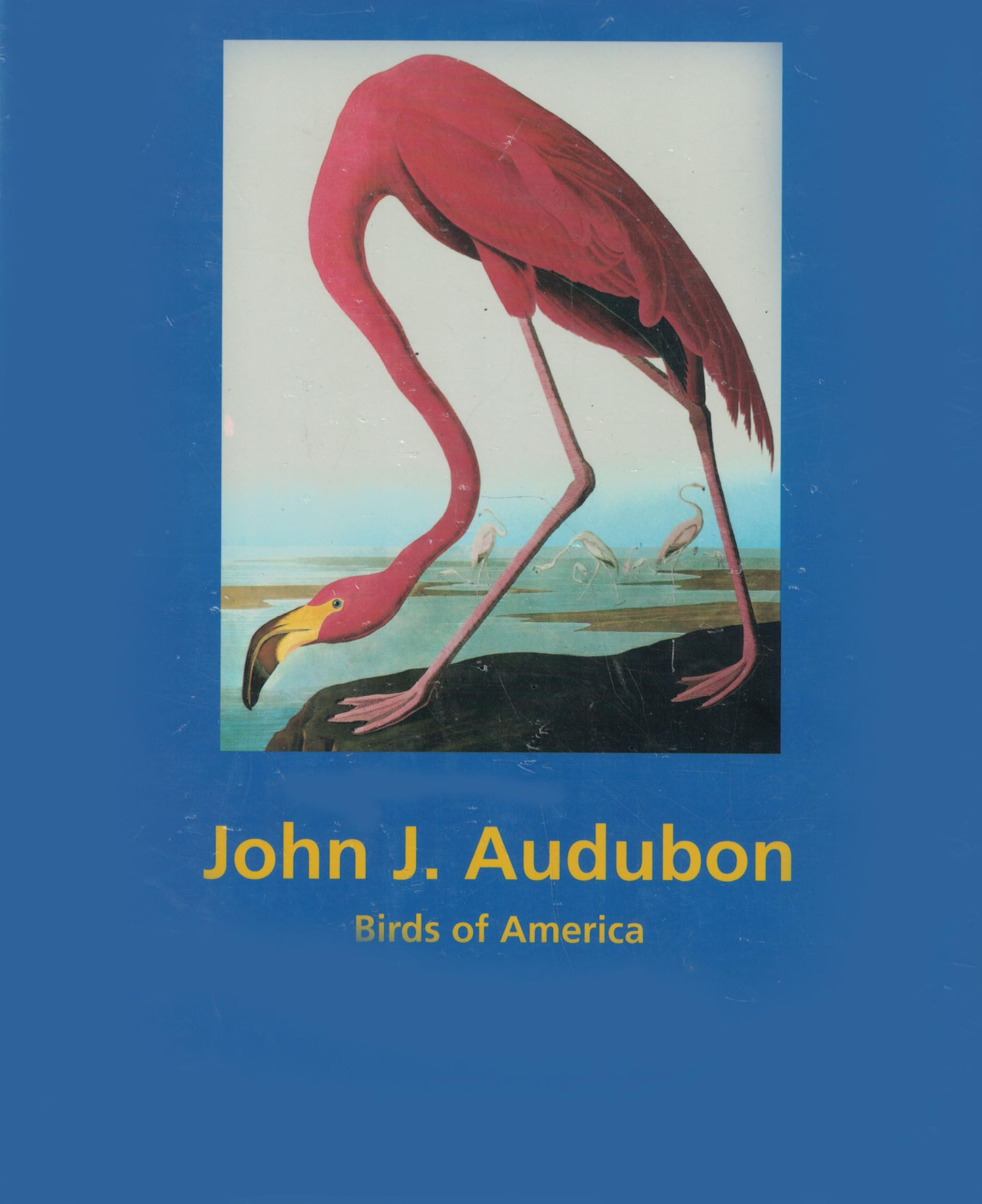 John James Audubon, birds of America Books