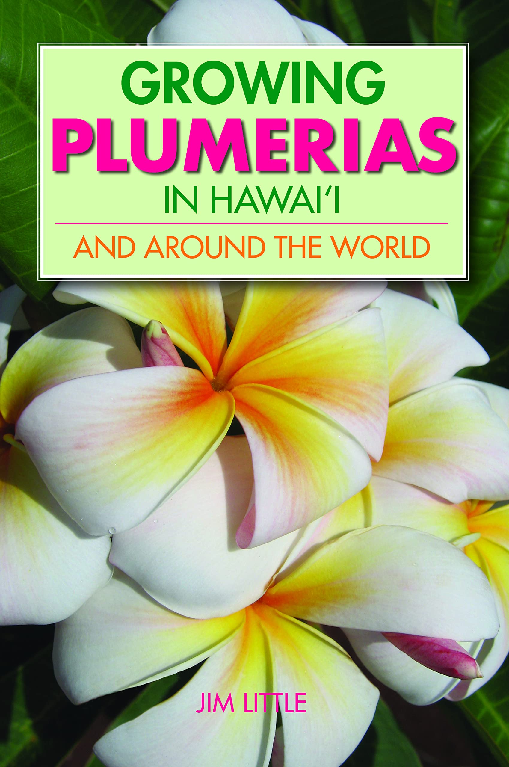 Growing Plumerias in Hawaii and Around the World Garden & Plants