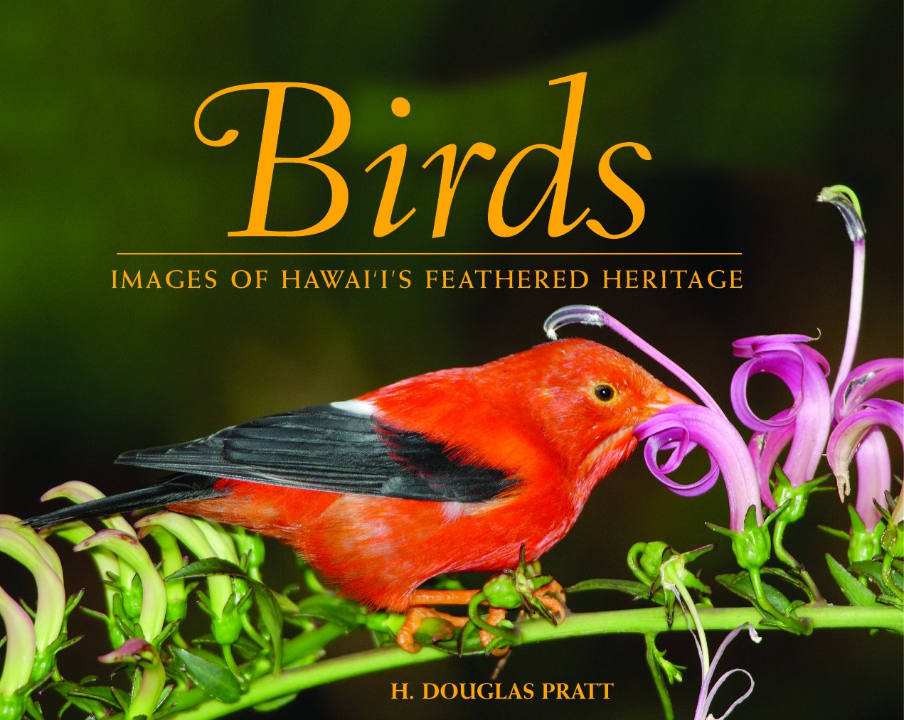 Birds: Images of Hawaii's Feathered Heritage Mathematics