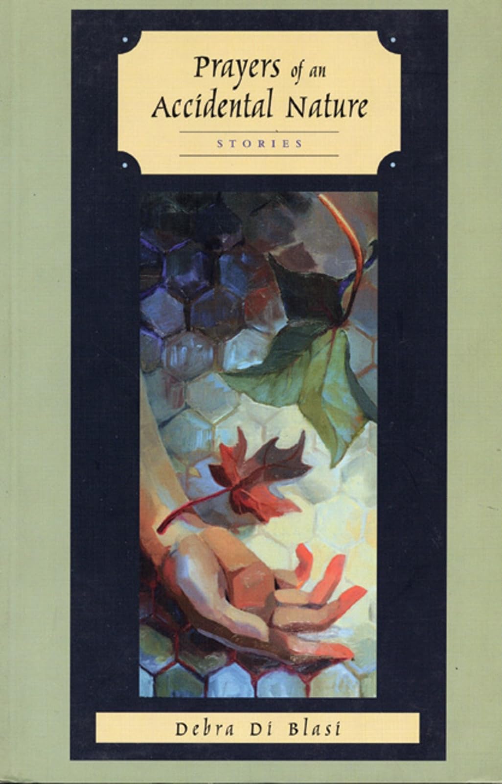 Prayers of an Accidental Nature book