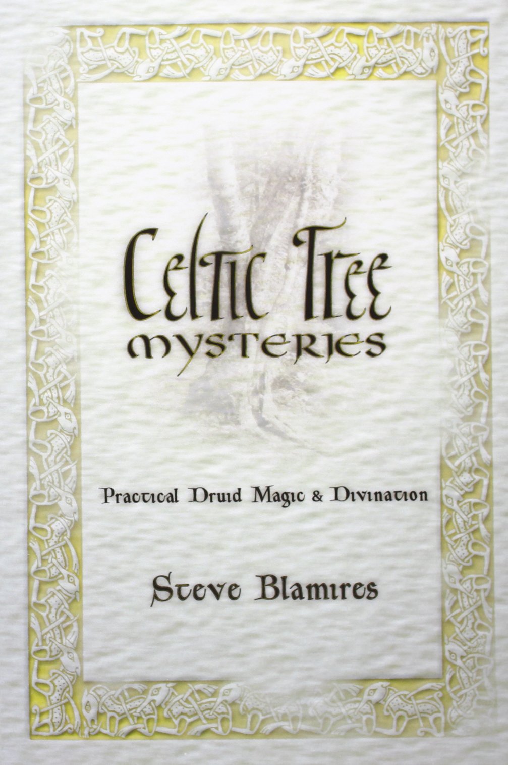 Celtic Tree Mysteries: Practical Druid Magic and Divination: Secrets of the Ogham (Llewellyn's Celtic Wisdom Series) Books
