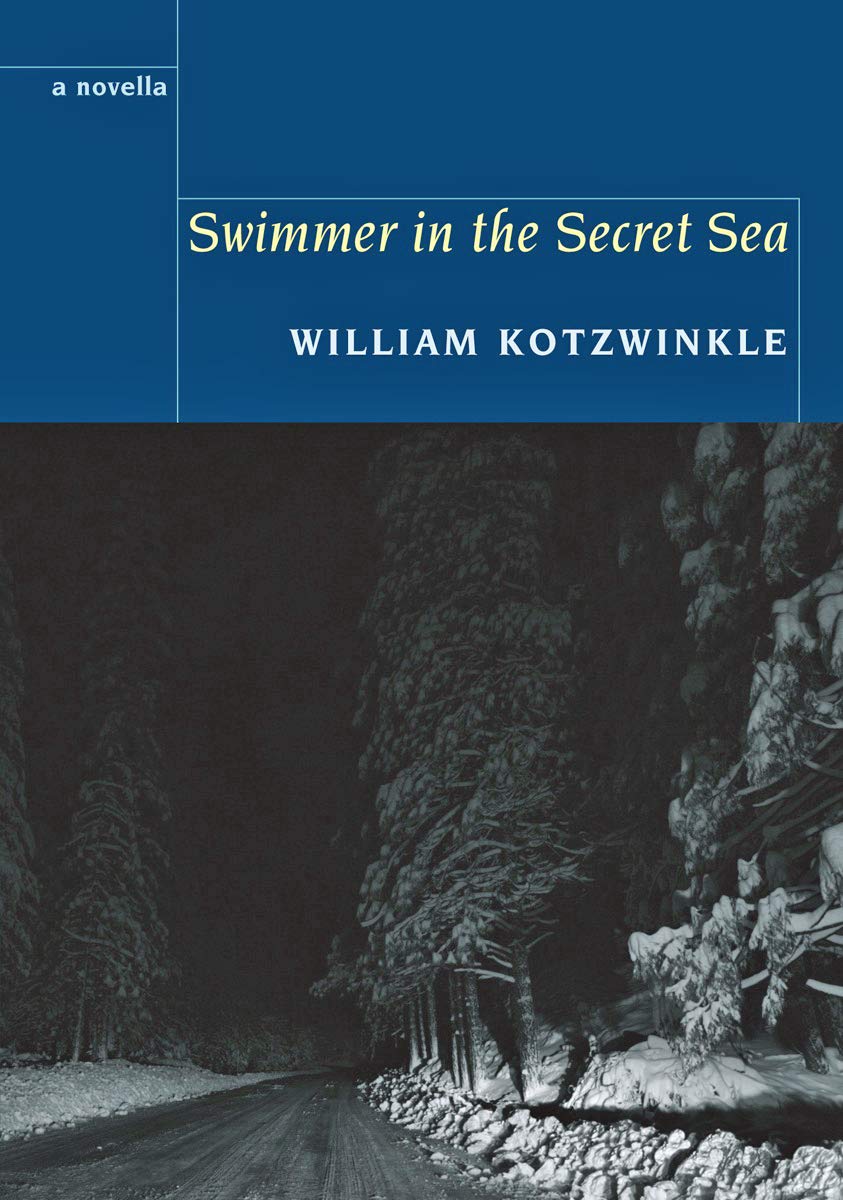 Swimmer in the Secret Sea Contemporary literature