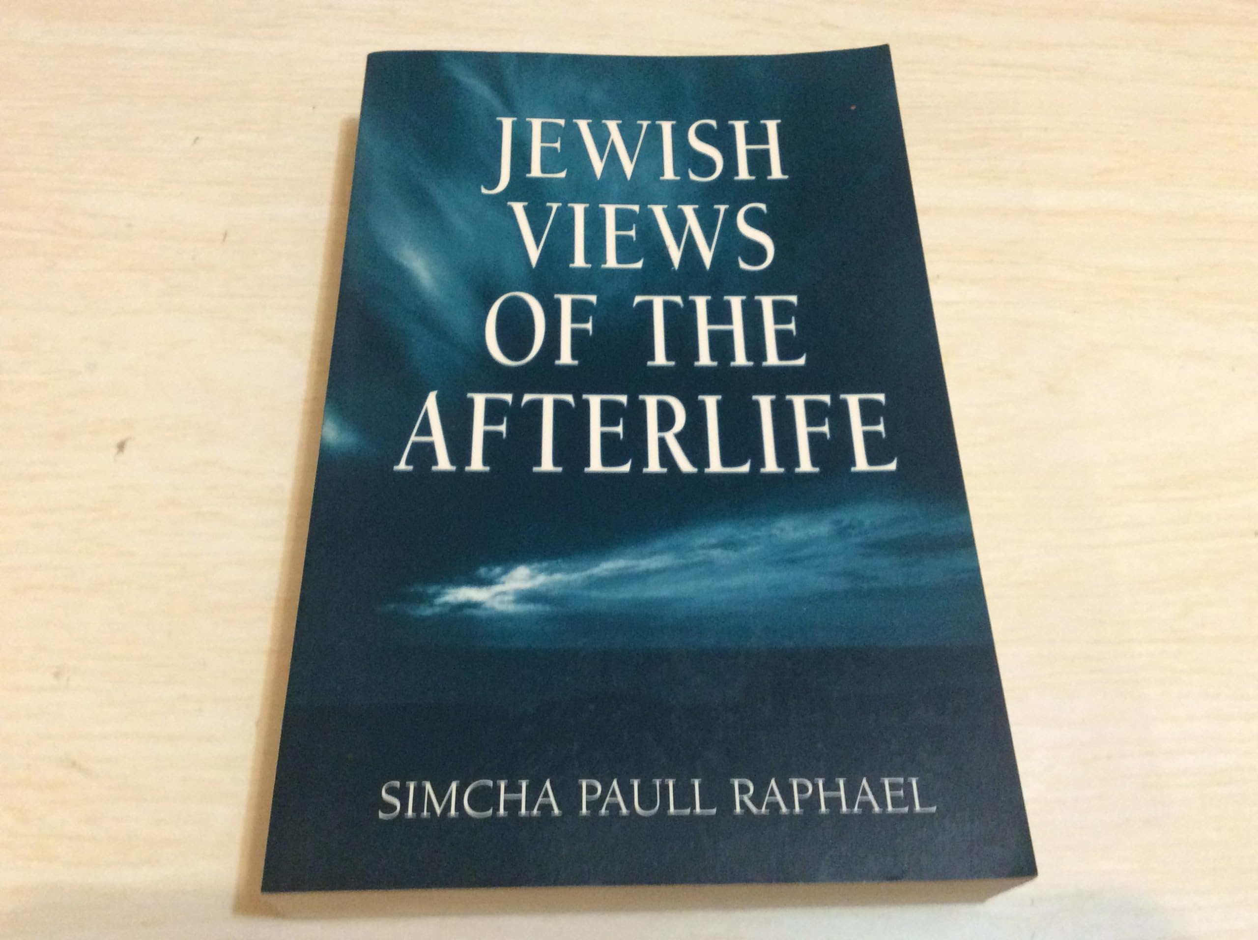 Jewish Views of the Afterlife book