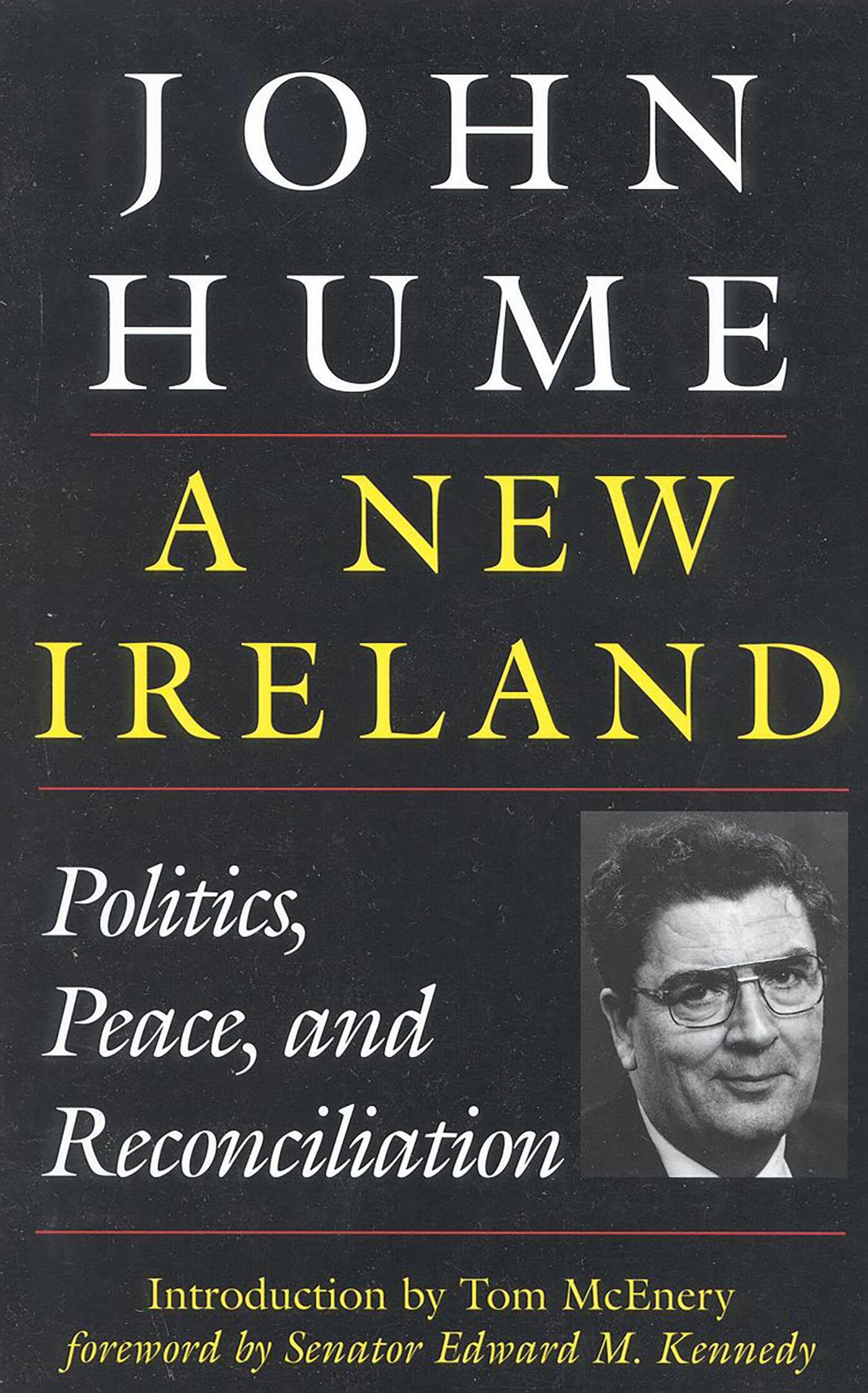 A New Ireland: Politics, Peace, and Reconciliation Politics & Society