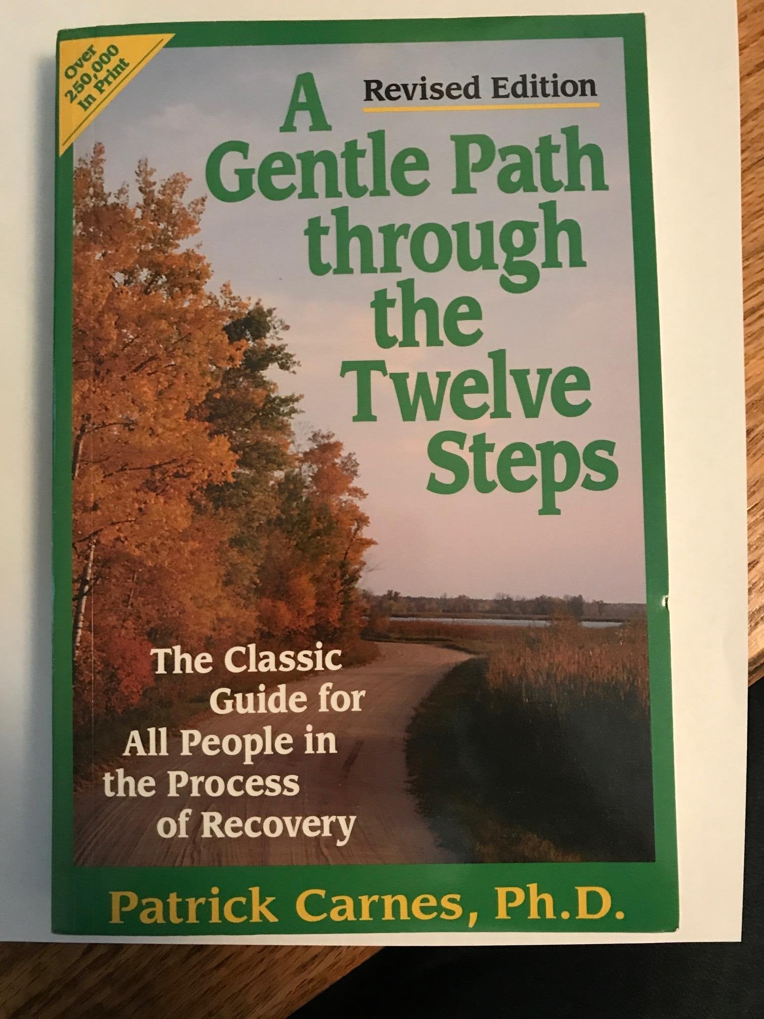 A Gentle Path Through the Twelve Steps: The Classic Guide for All People in the Process of Recovery Health, Nutrition & Fitness