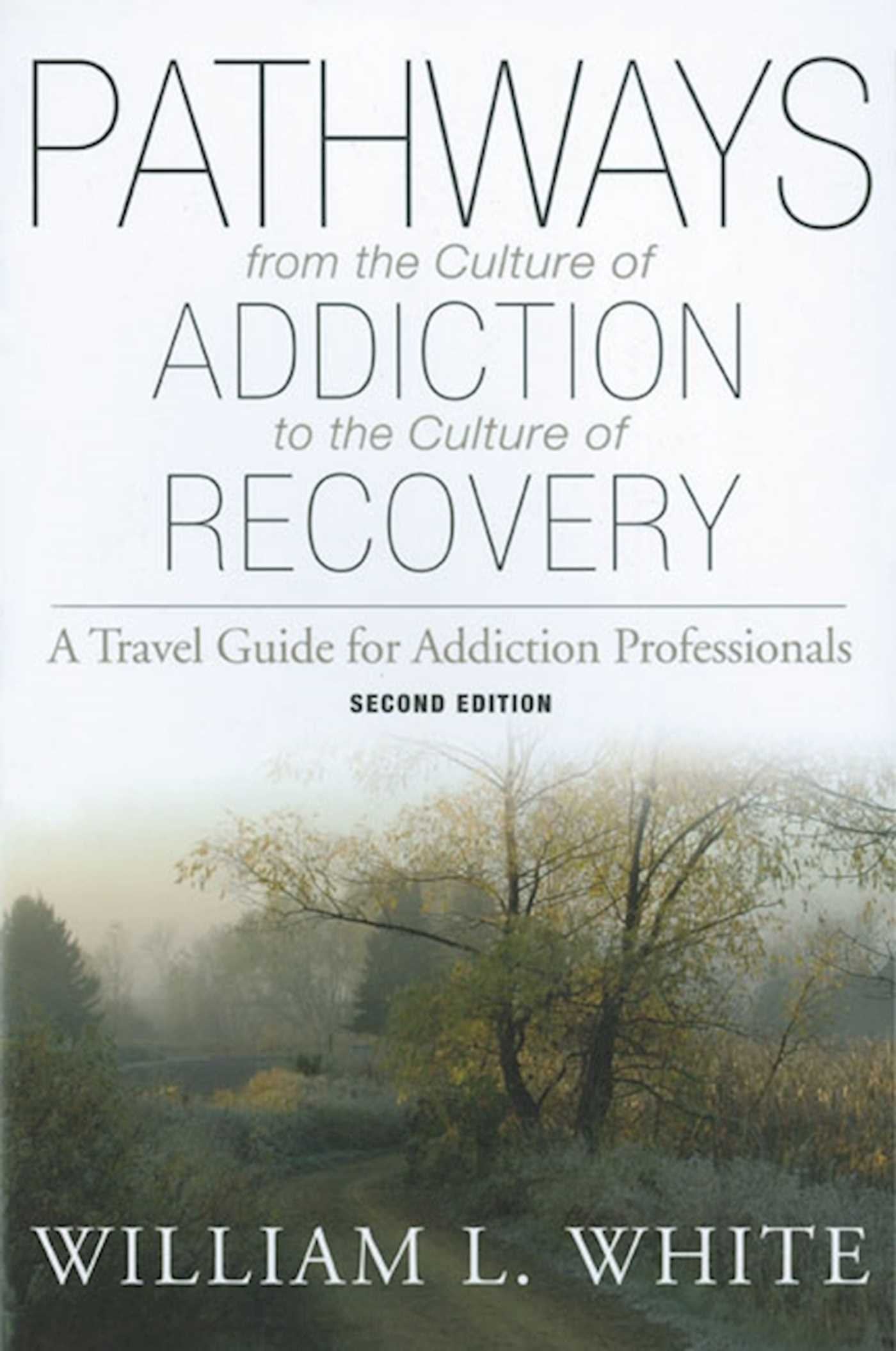 Pathways from the Culture of Addiction to the Culture of Recovery: A Travel Guide for Addiction Professionals book