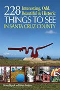 228 Interesting, Odd, Beautiful and Historic Thing Books