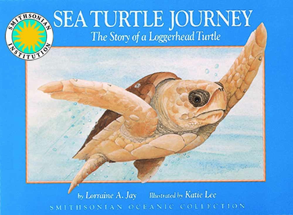 Sea Turtle Journey: The Story of a Loggerhead Turtle book