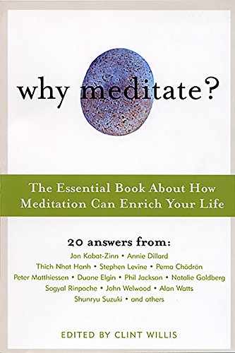 Why Meditate?: The Essential Book About How Meditation Can Enrich Your Life (Illumina Series) Lifestyle