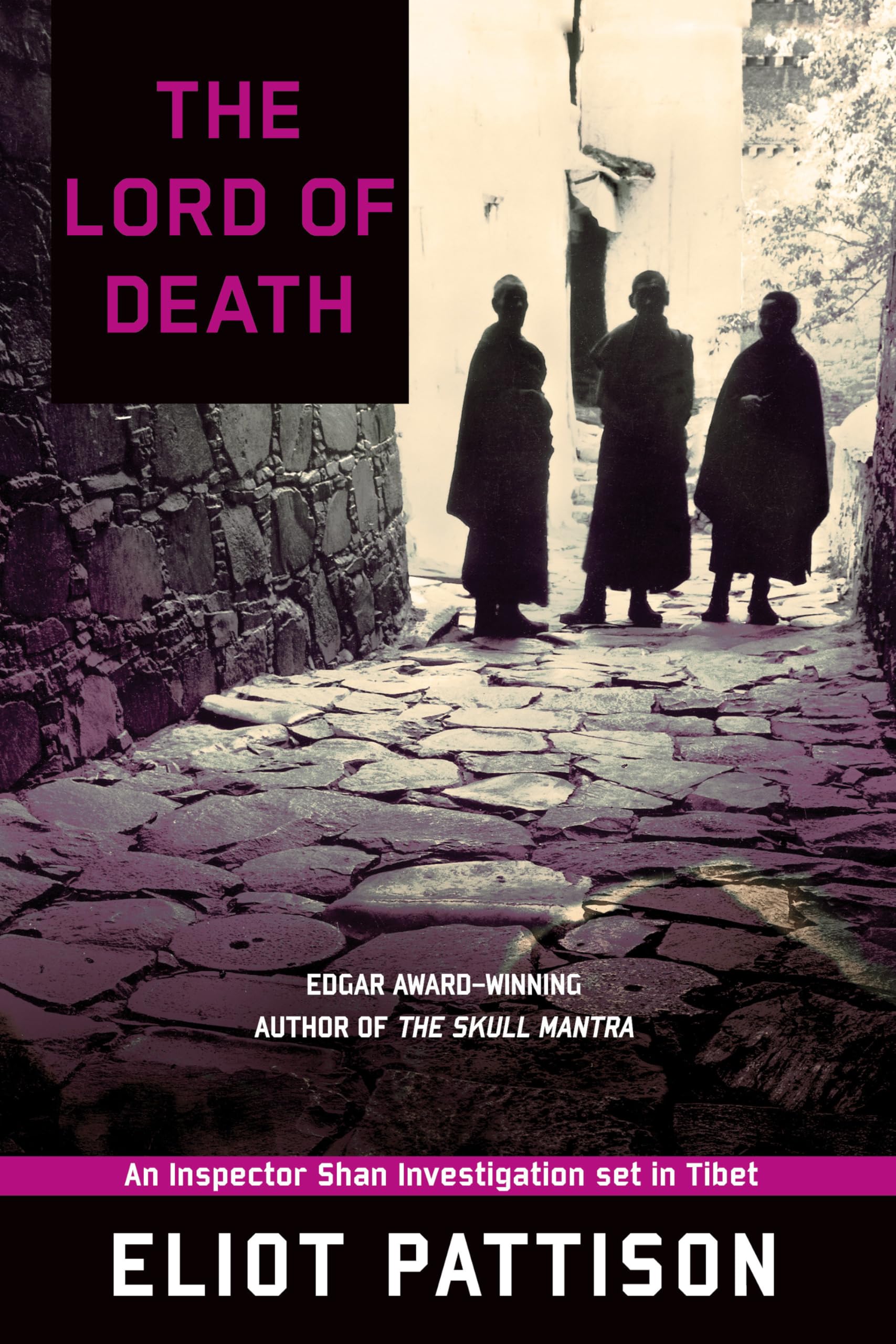 Pattison, E: LORD OF DEATH Contemporary literature