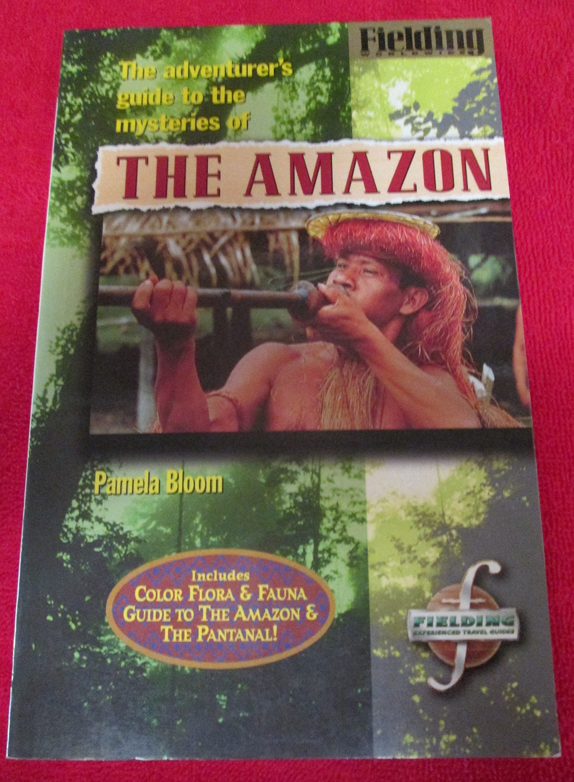 Fielding's Amazon: The Adventurer's Guide to the Mysteries of the Amazon (Fielding Worldwide) Travel Guides
