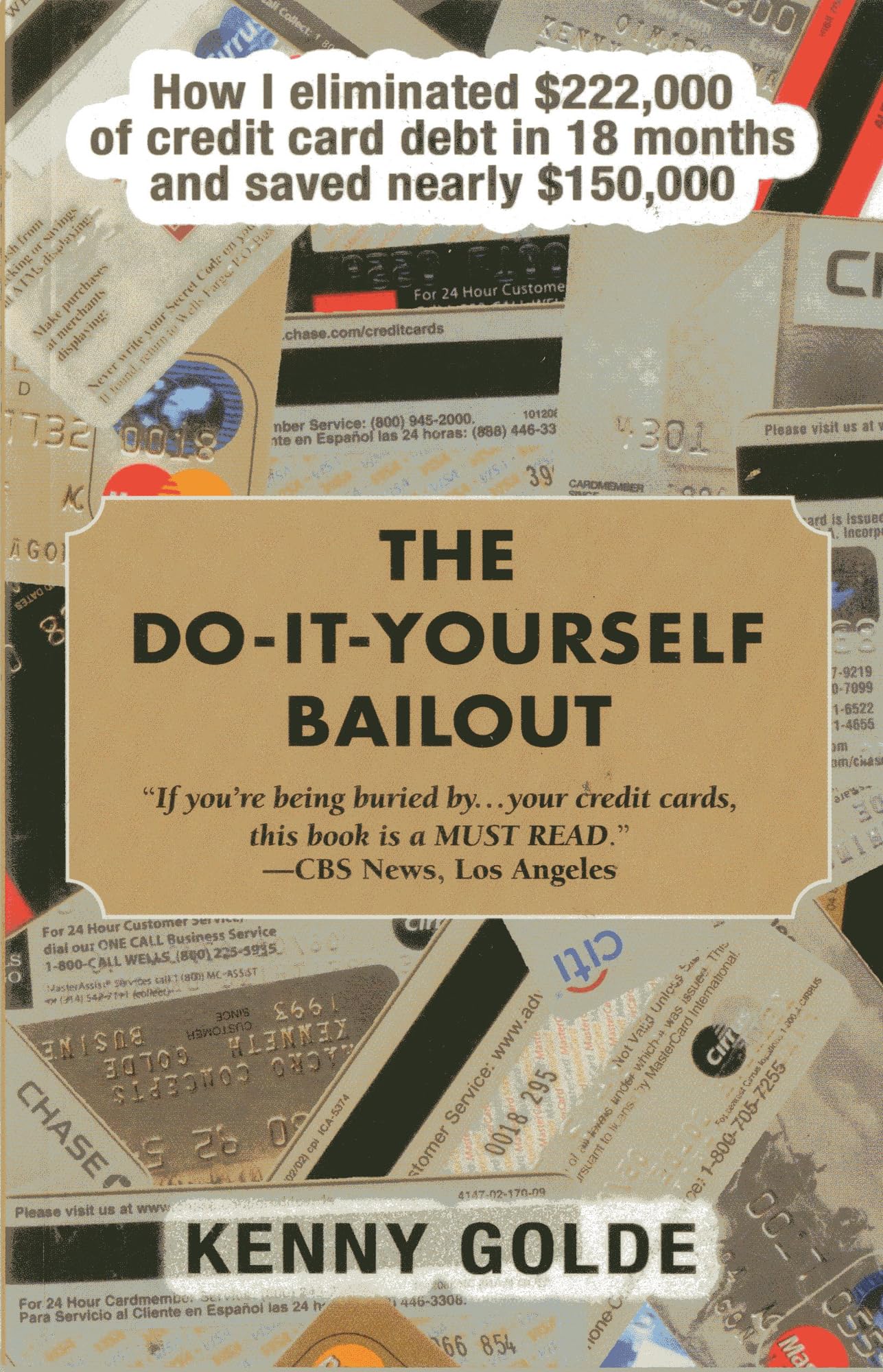 Do-It-Yourself Bailout: How I Eliminated $222,000 of Credit Card Debt in Eighteen Months and Saved Nearly $150,000 Business, Finance & Career