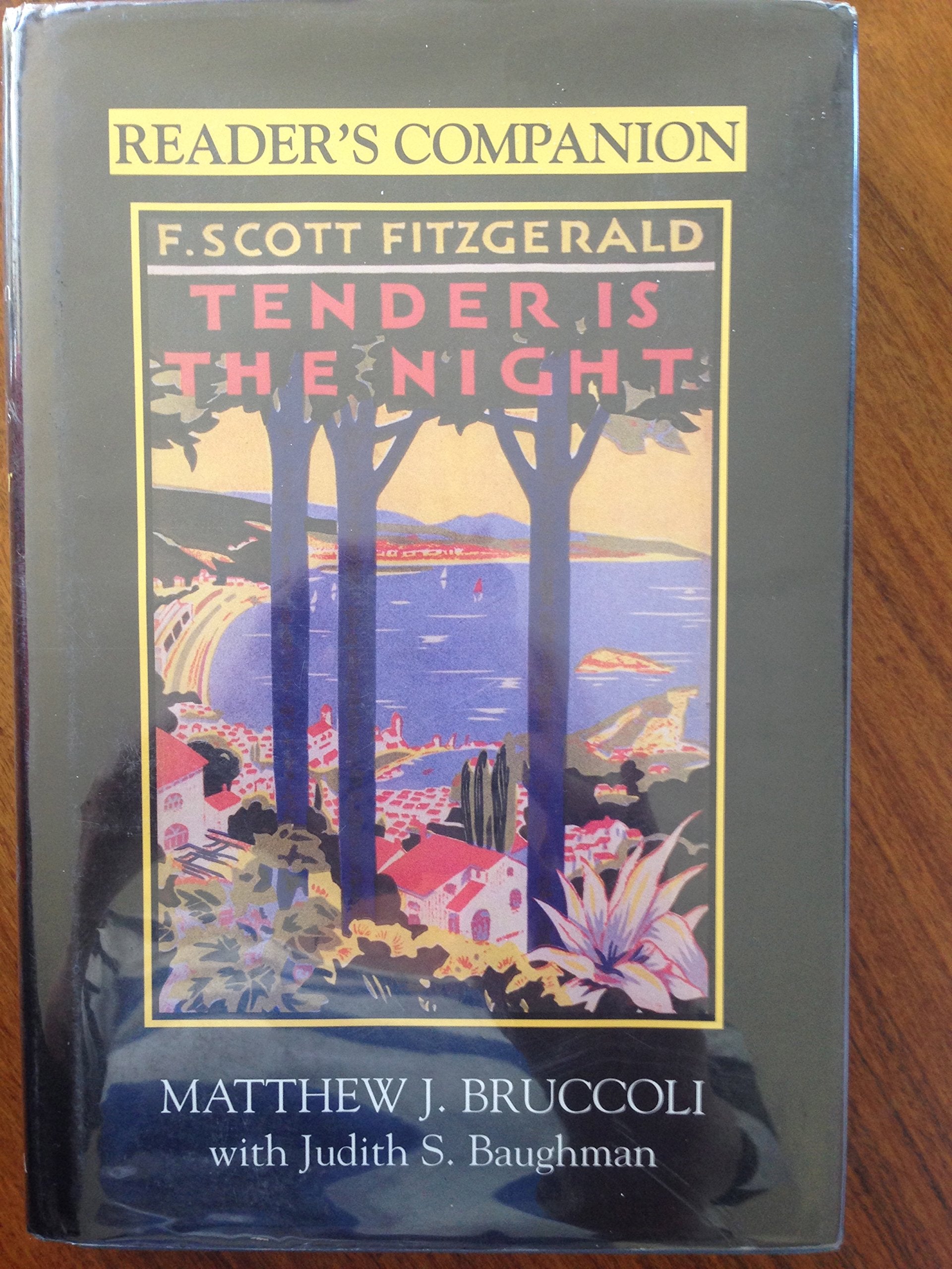 Reader's Companion to F. Scott Fitzgerald's Tender Is the Night Contemporary literature
