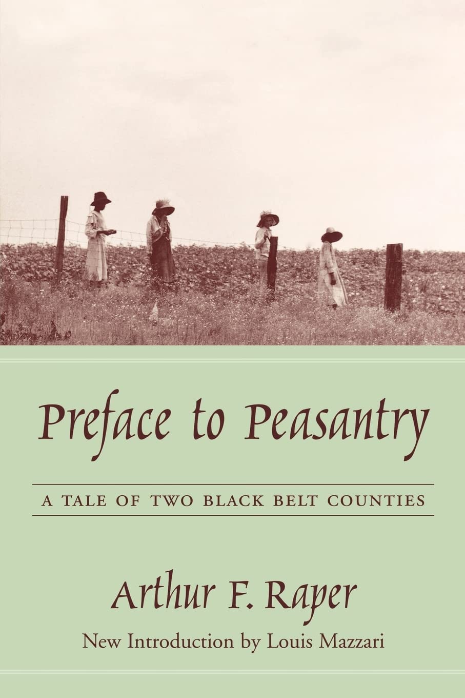 Preface To Peasantry: A Tale Of Two Black Belt Counties (Southern Classics Series) Social Sciences