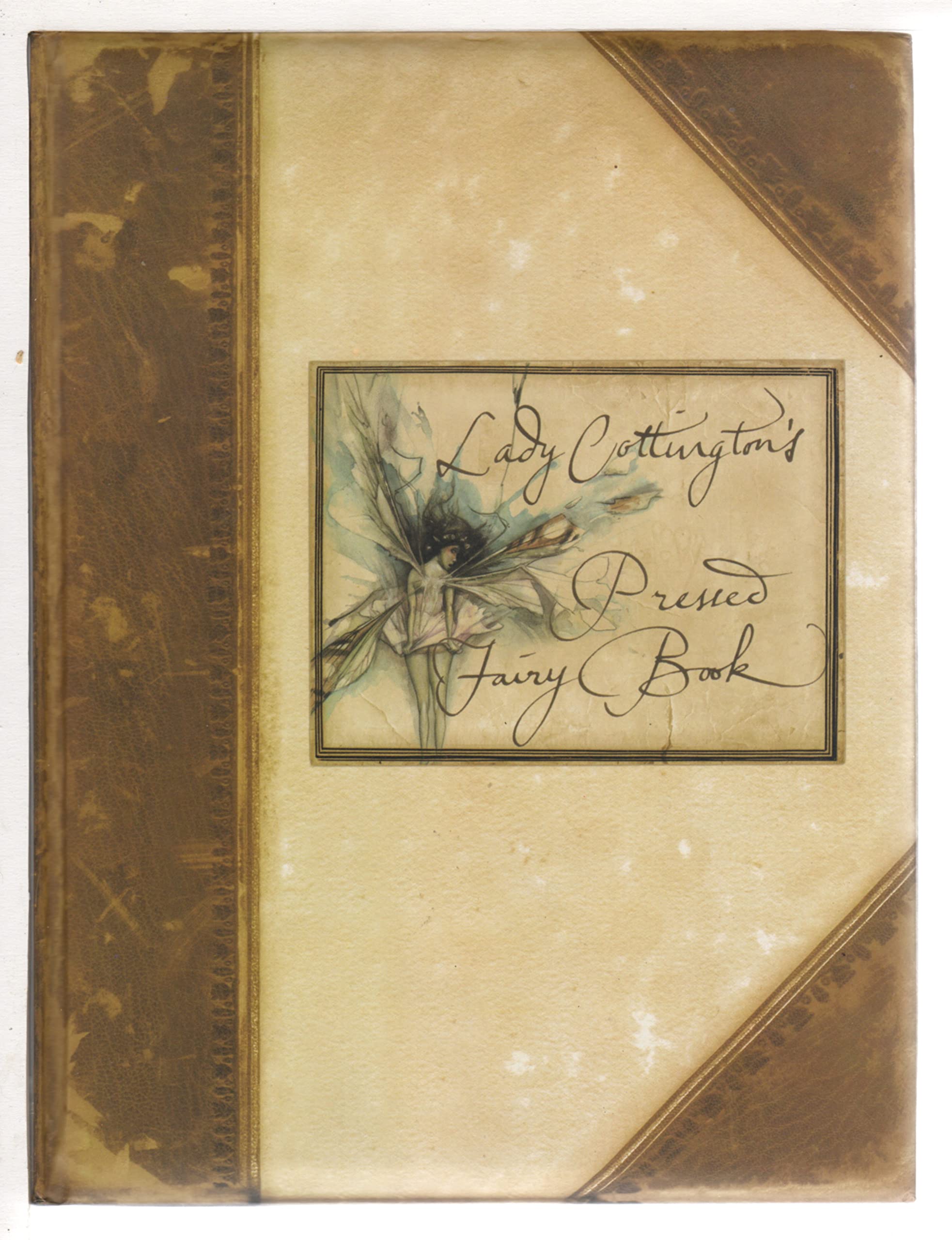 Lady Cottington's Pressed Fairy Book book