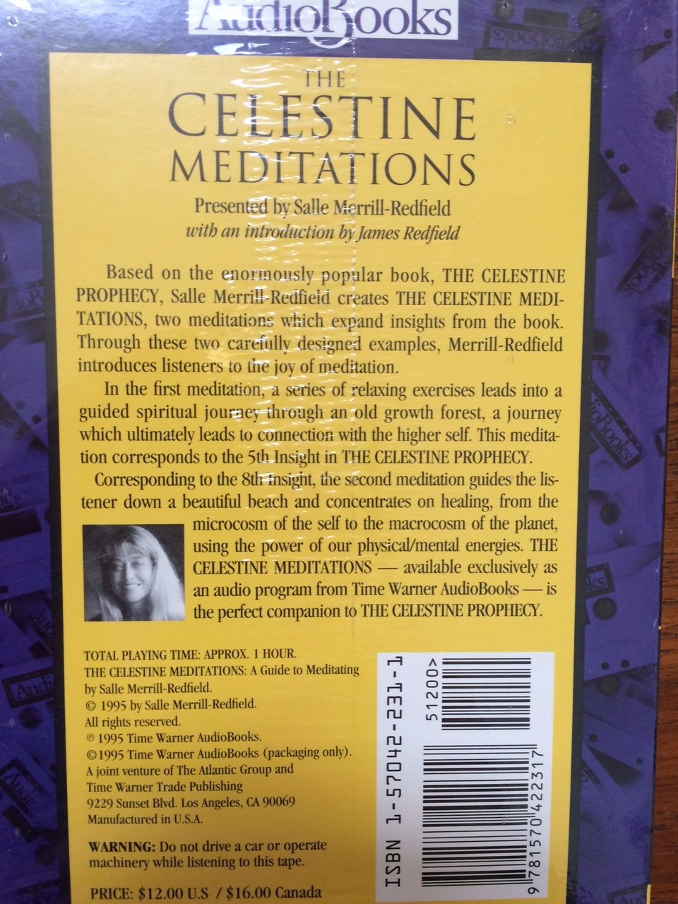 The Celestine Meditations: A Guide to Meditation Based on The Celestine Prophecy book