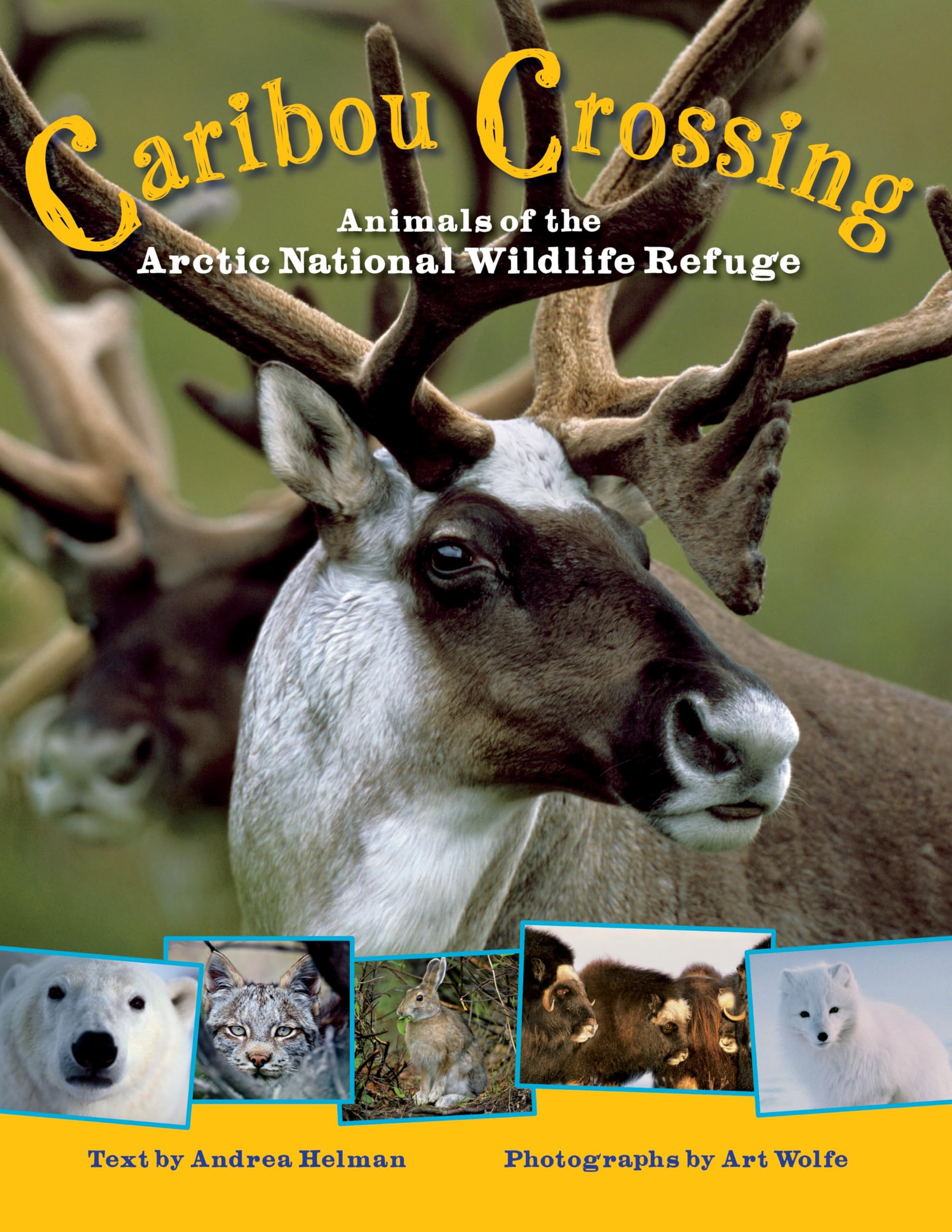 Caribou Crossing: Animals of the Arctic National Wildlife Refuge Non-fiction