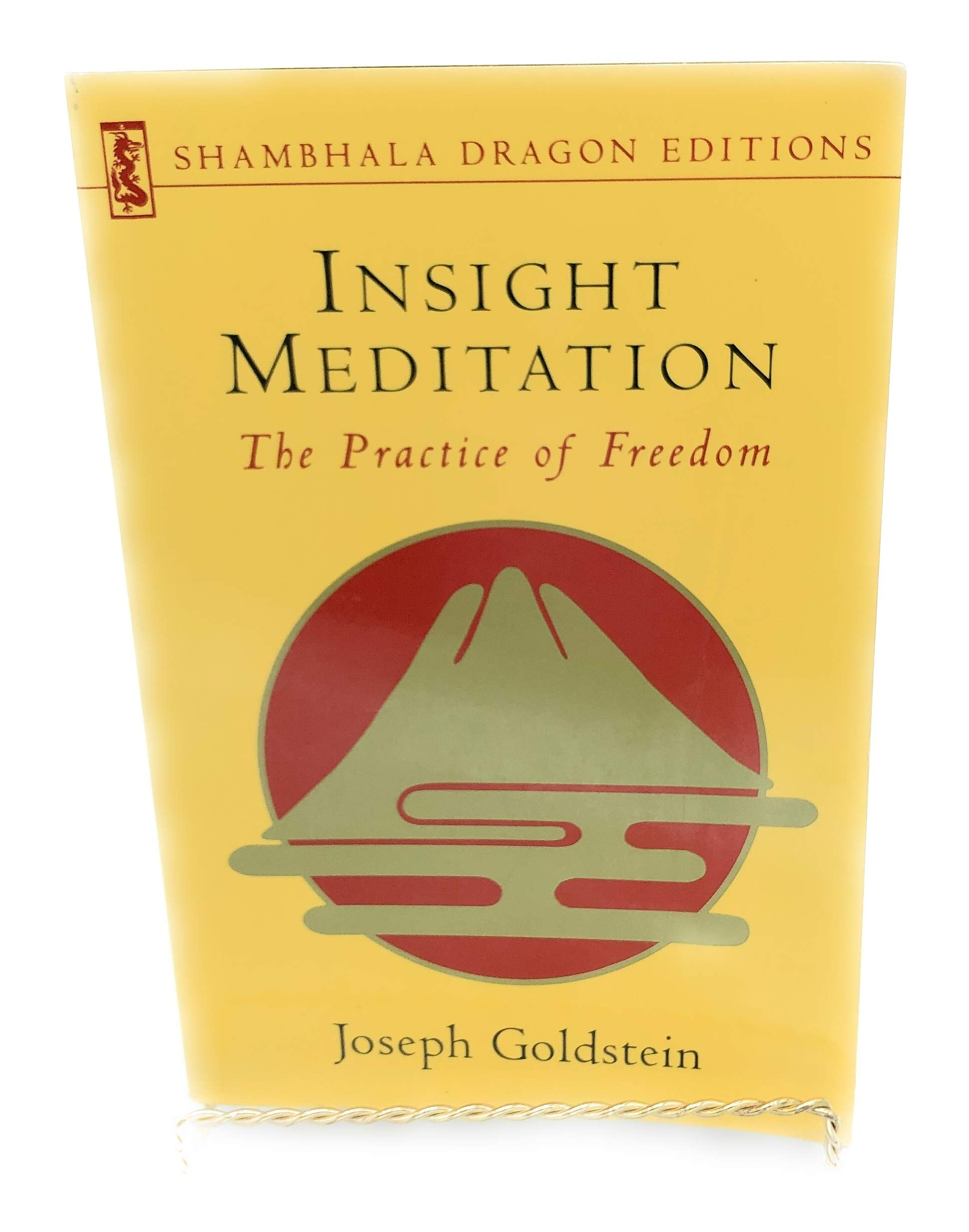 Insight Meditation: A Psychology of Freedom (Shambhala Dragon Editions) book