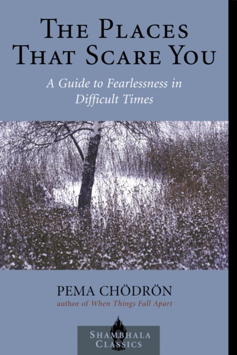 The Places That Scare You: A Guide to Fearlessness in Difficult Times (Shambhala Classics) Social Sciences