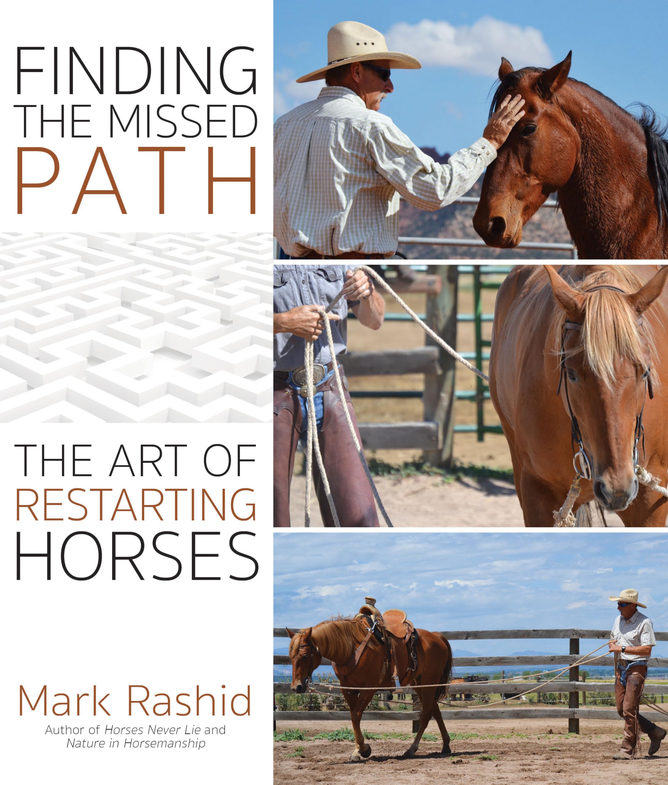 Finding the Missed Path: The Art of Restarting Horses Mathematics