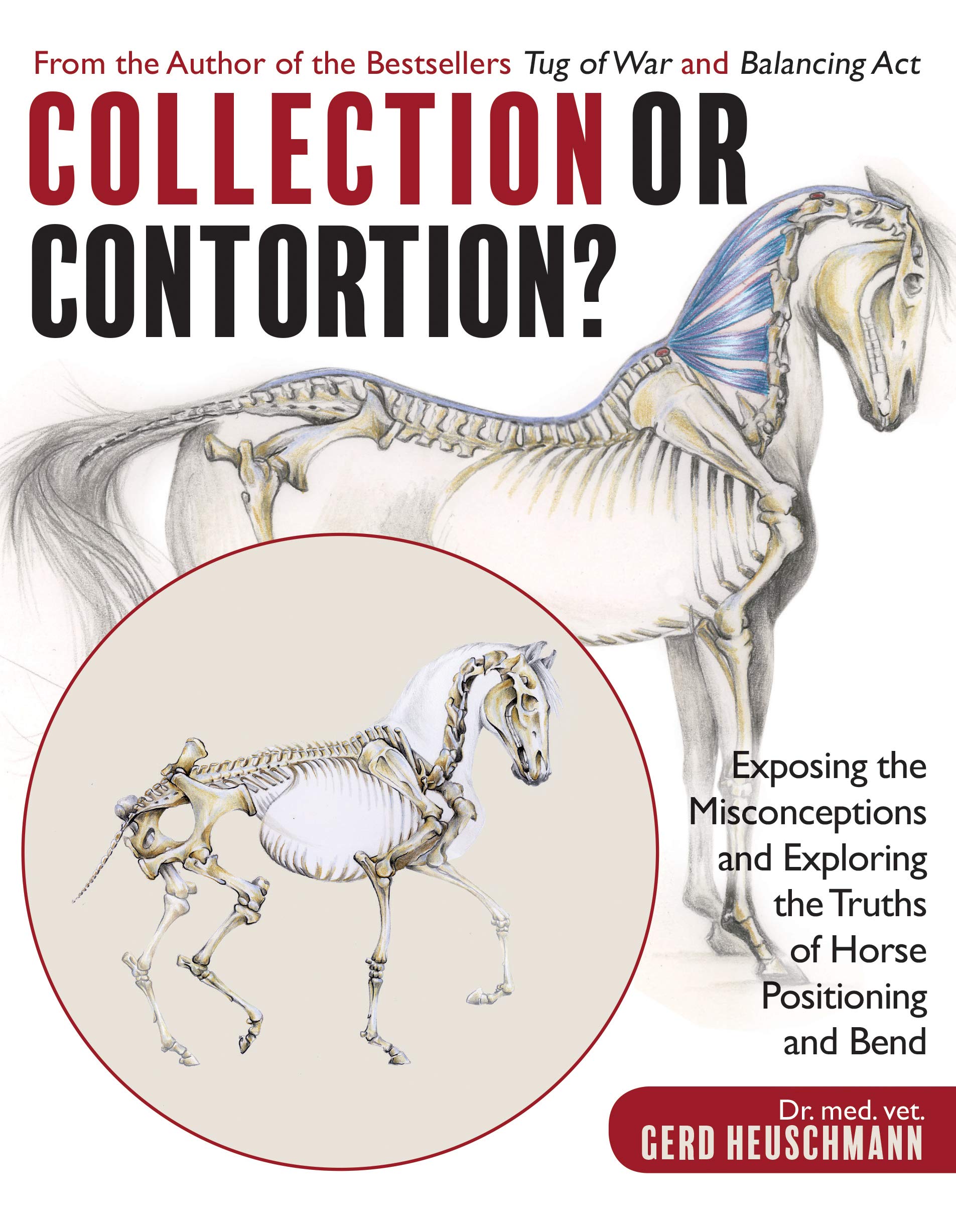 Collection or Contortion?: Exposing the Misconceptions and Exploring the Truths of Horse Positioning and Bend Leisure & Fun
