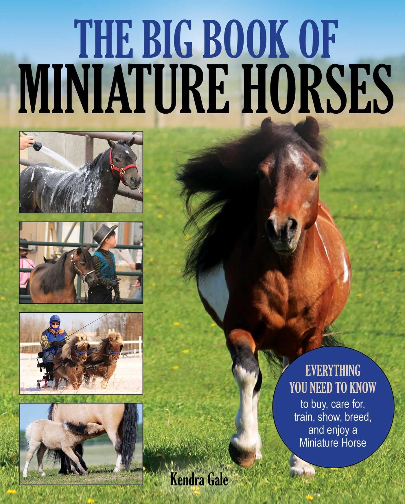 The Big Book of Miniature Horses: Everything You Need to Know to Buy, Care for, Train, Show, Breed, and Enjoy a Miniature Horse Pets