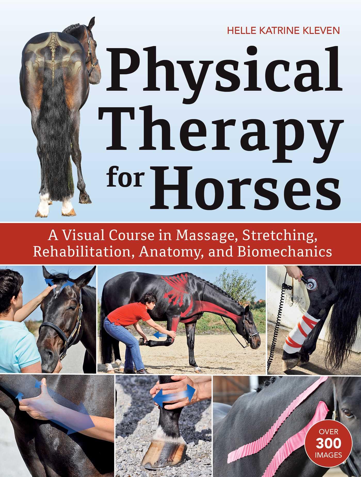 Physical Therapy for Horses: An Illustrated Guide to Anatomy, Biomechanics, Message, Stretching, and Rehabilitation Medicine