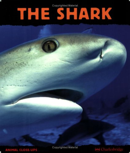 The Shark: Silent Hunter (Animal Close-Ups) Non-fiction