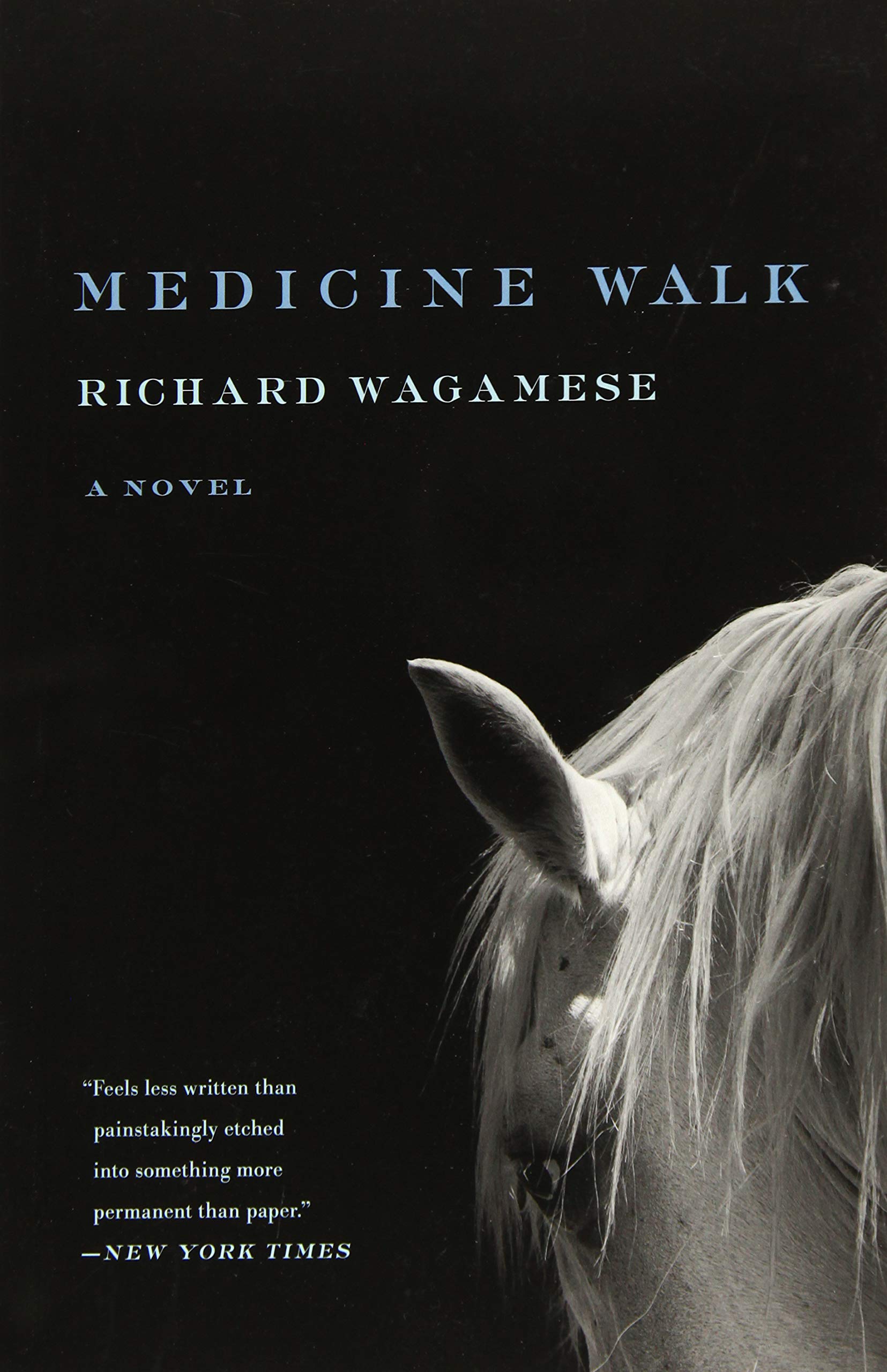 Medicine Walk Contemporary literature Books