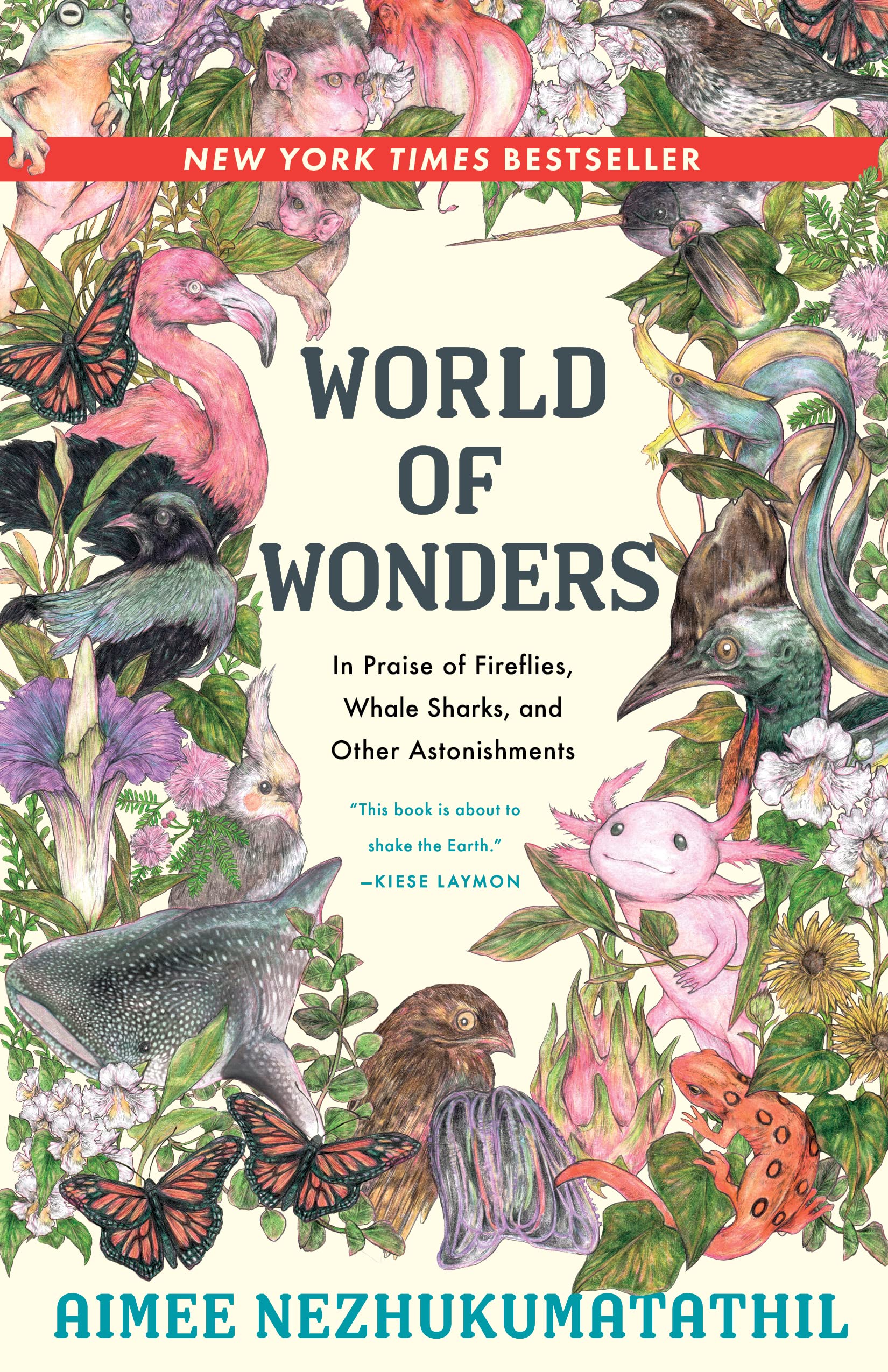 World of Wonders Essays & Short Stories