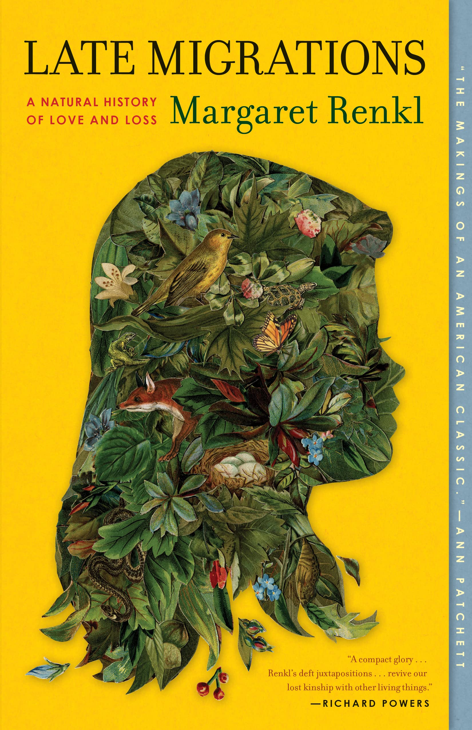 Product Image: Late Migrations